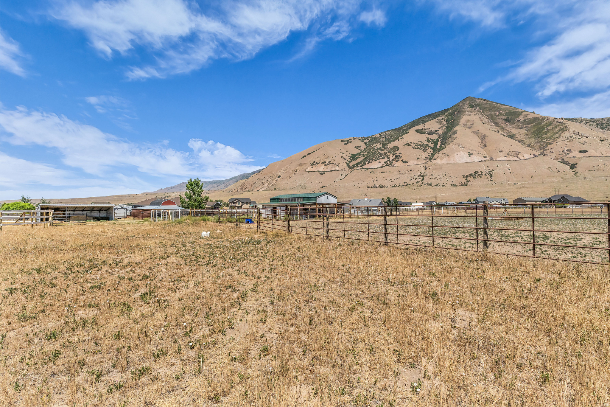 main property photo 53