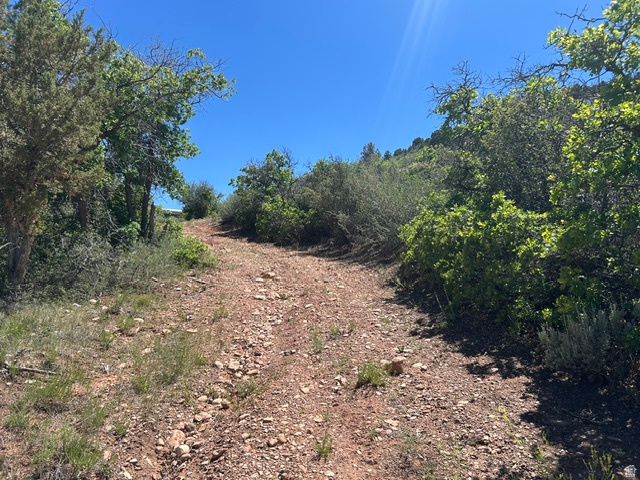 main property photo 17