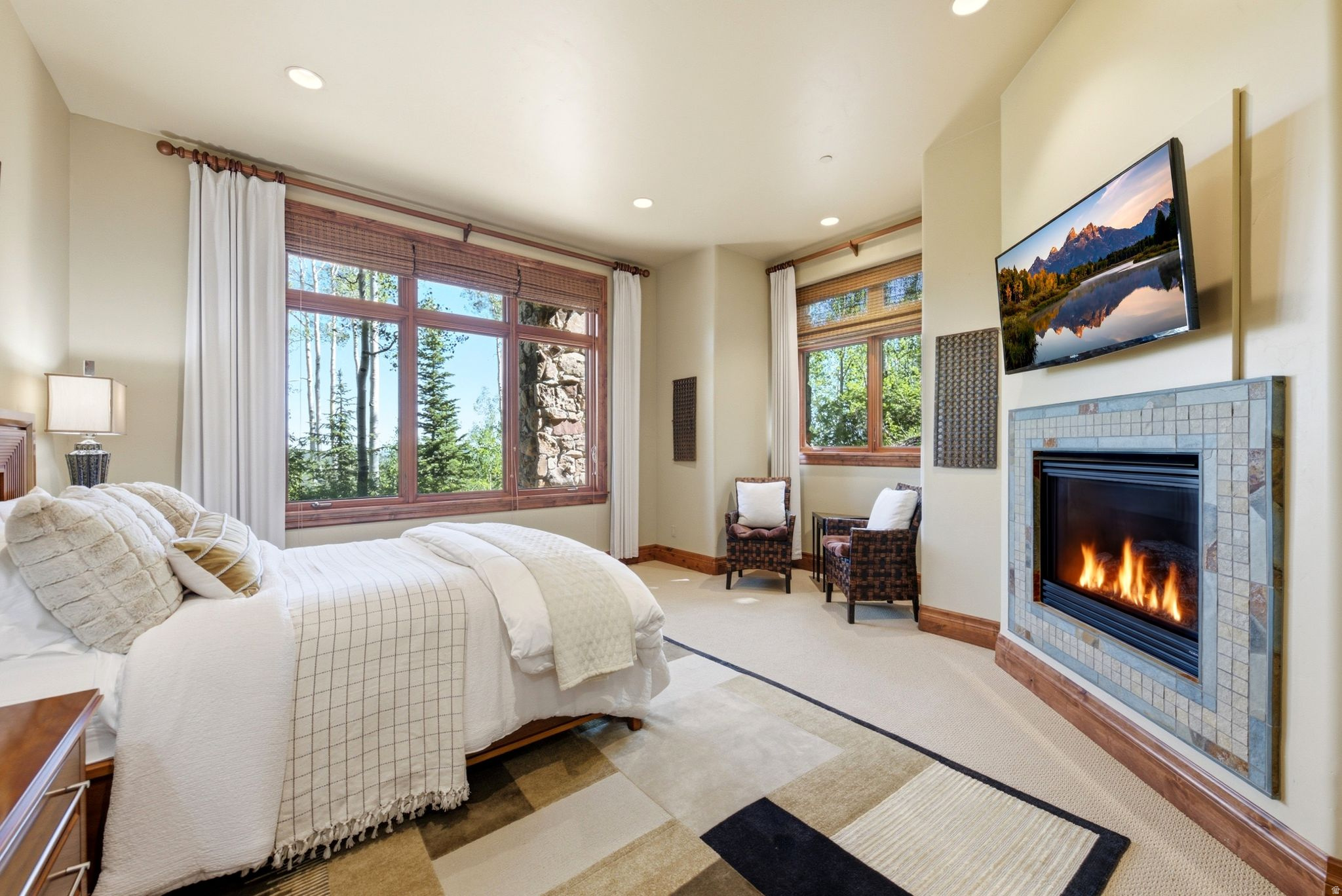 main property photo 101