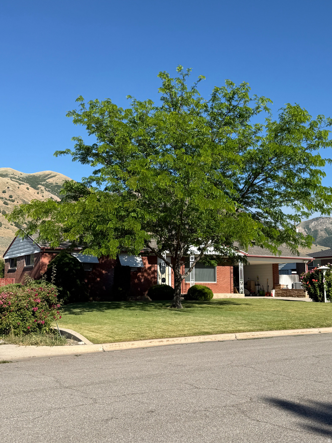 main property photo 23