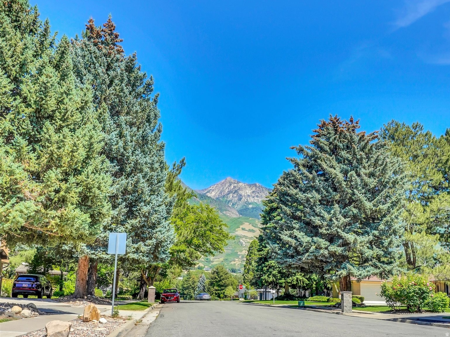 main property photo 52