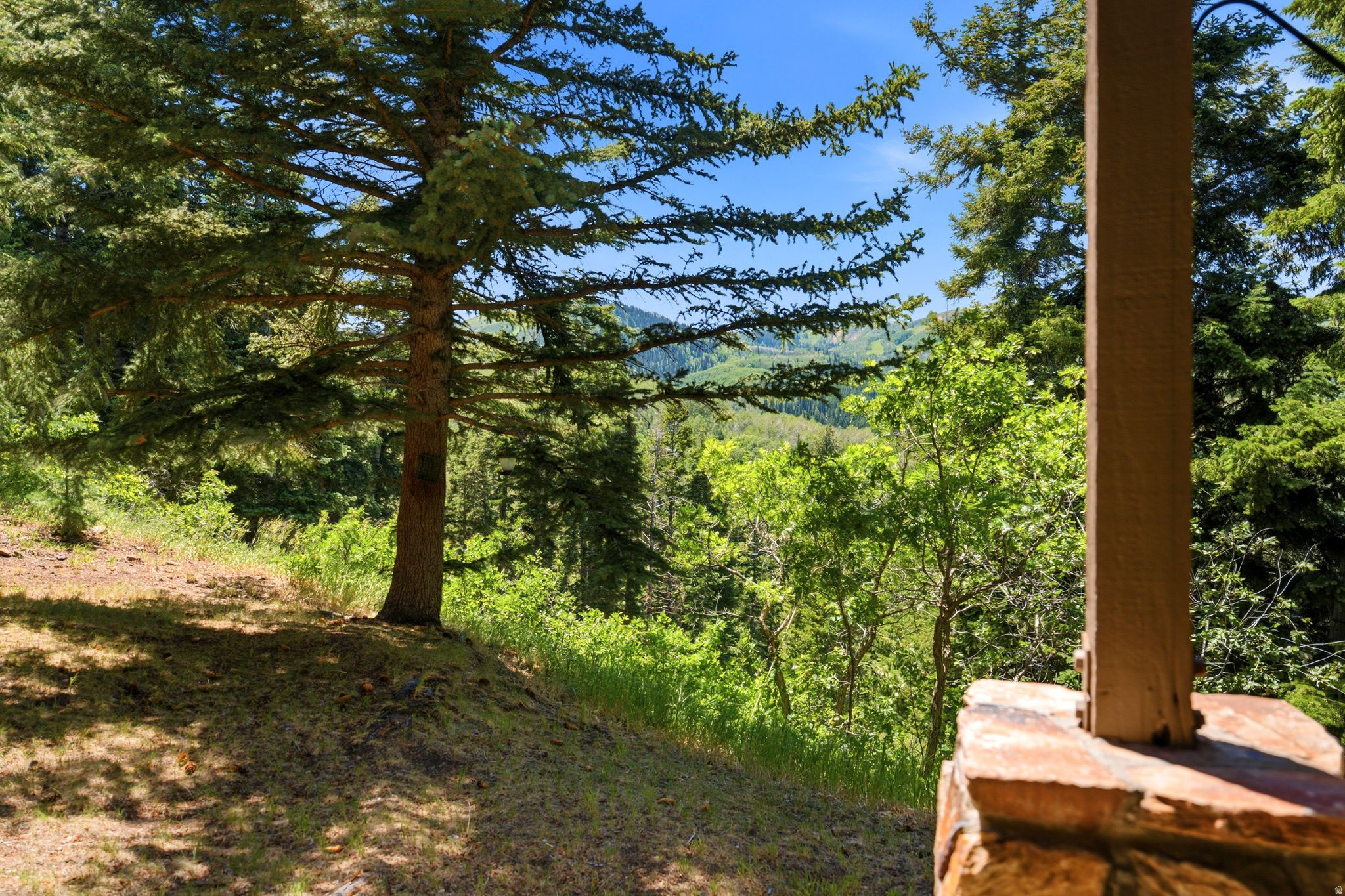main property photo 58