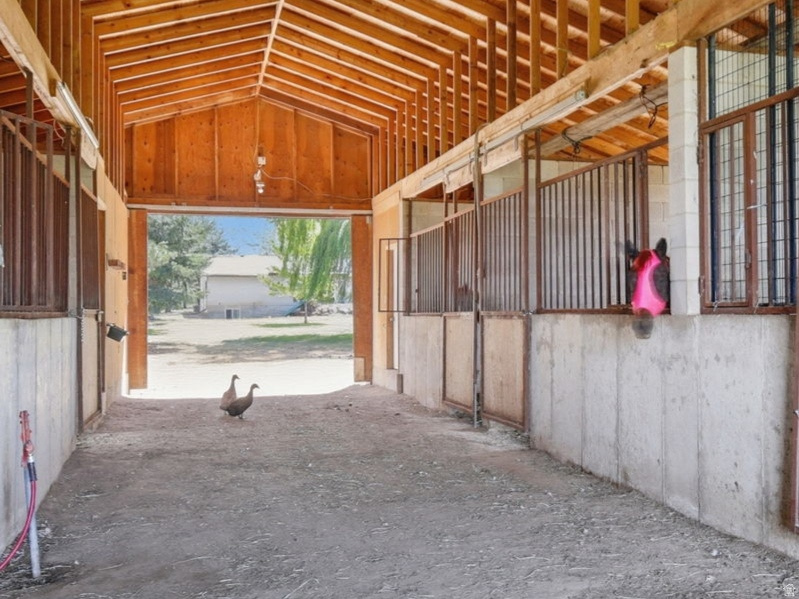 main property photo 61