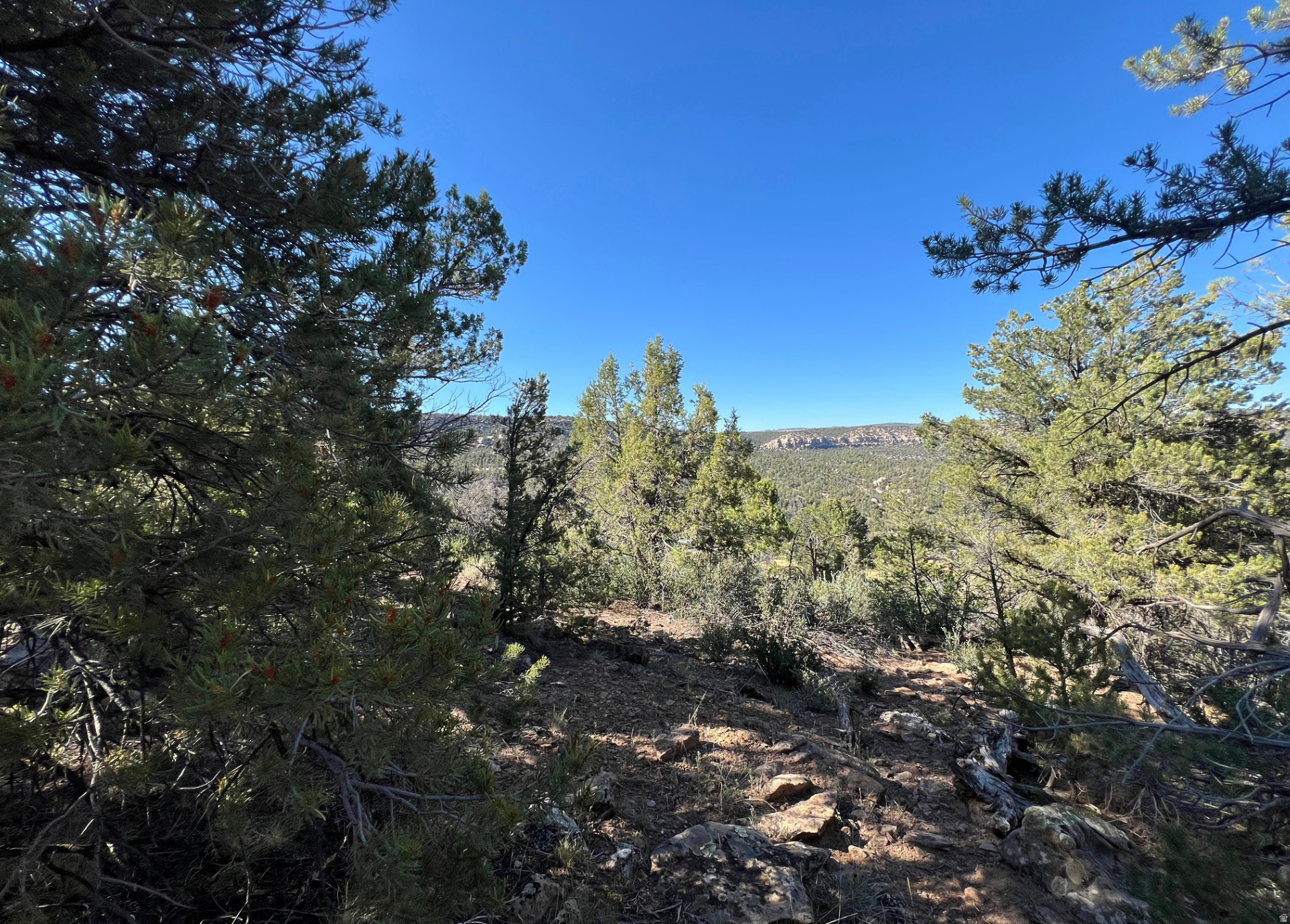 main property photo 18