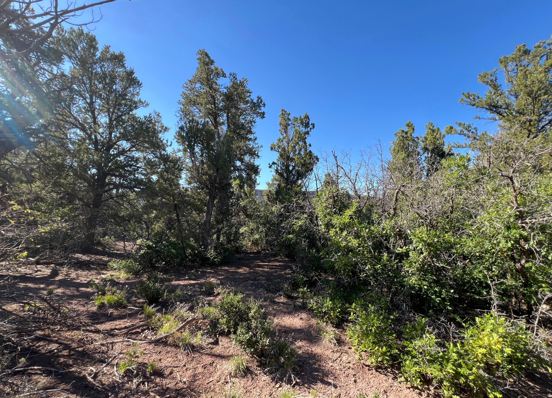 main property photo 26