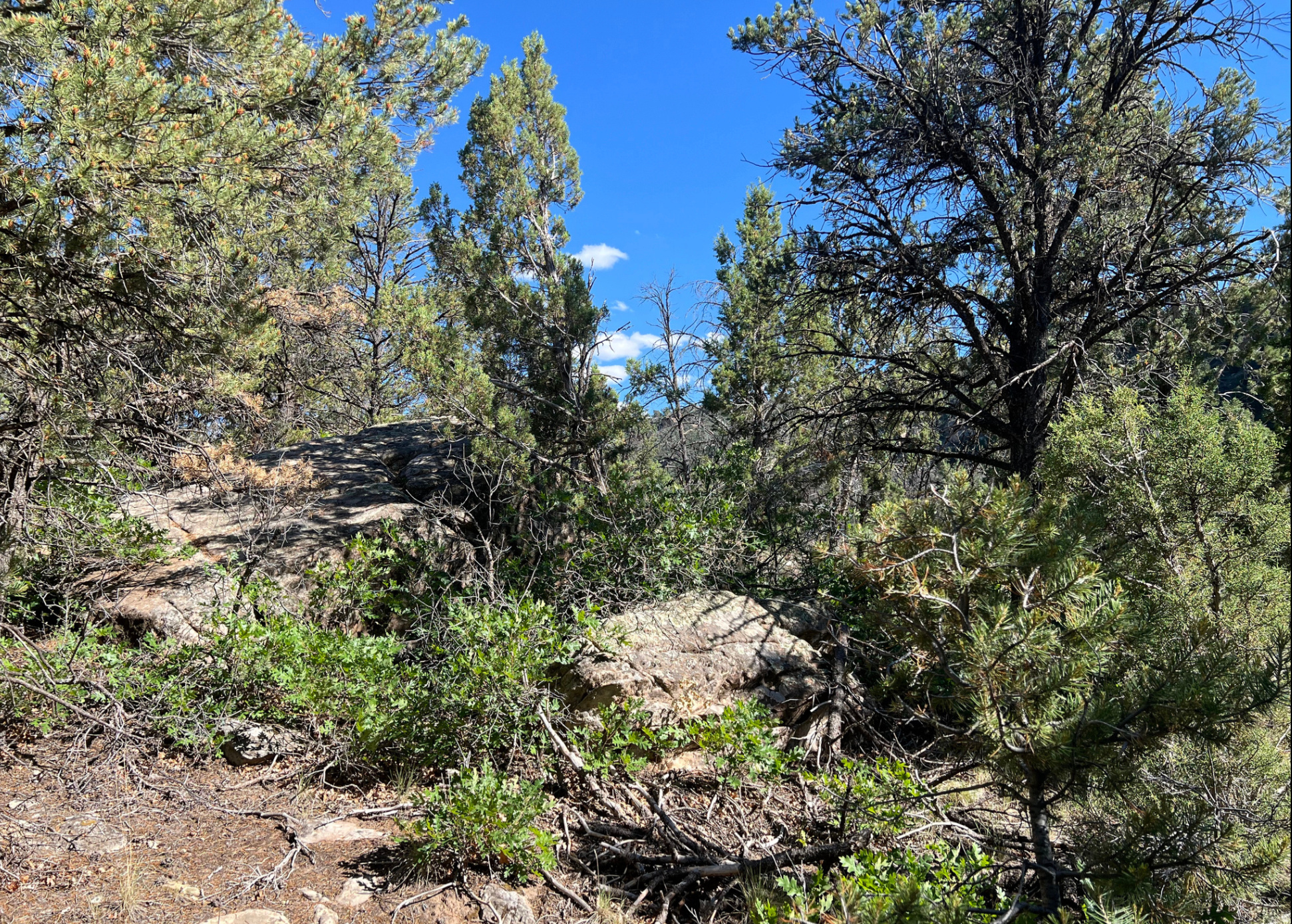 main property photo 34