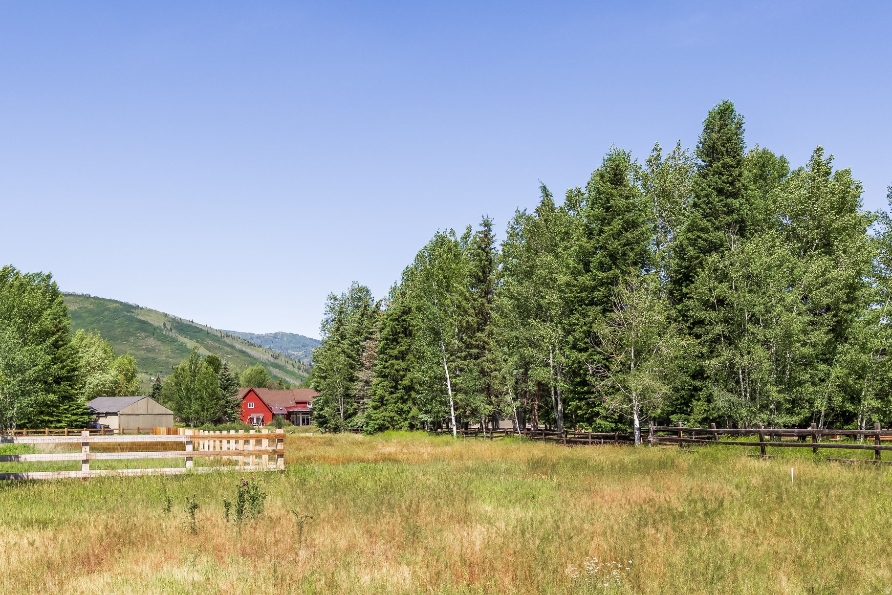 main property photo 54