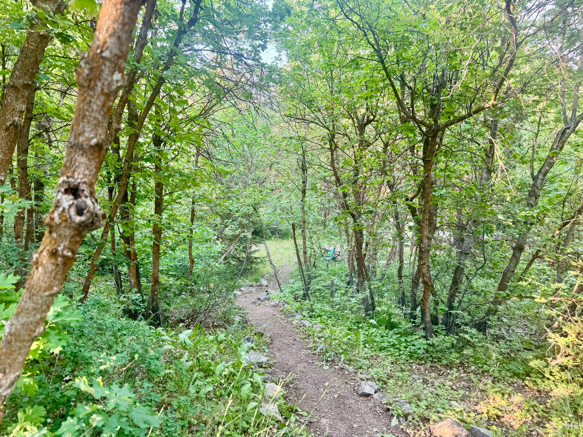 main property photo 14