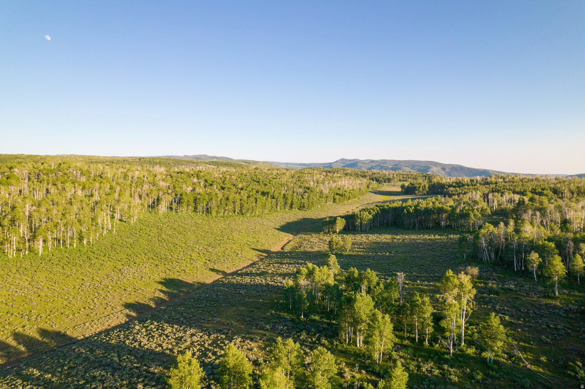 main property photo 78