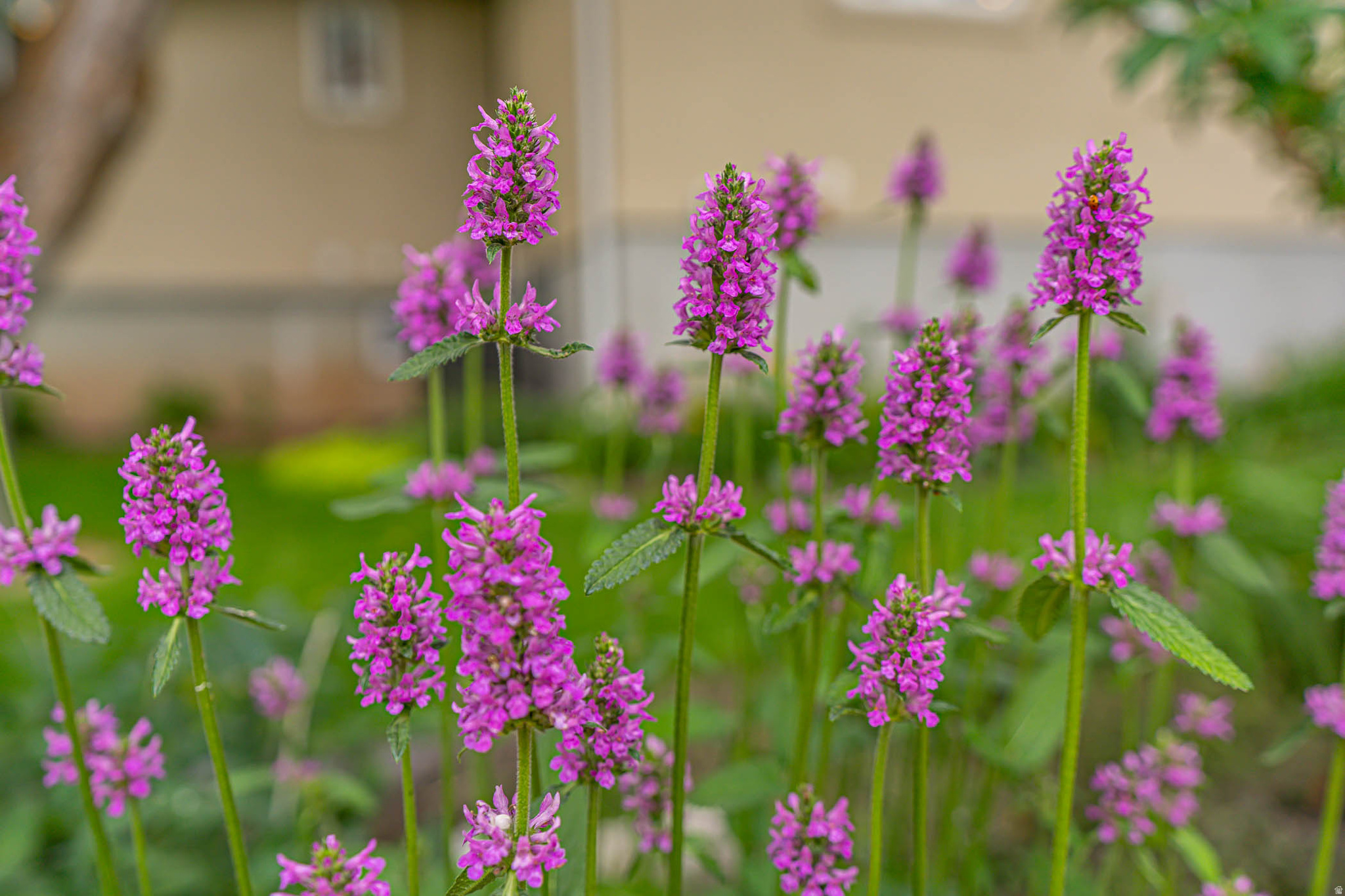 main property photo 80