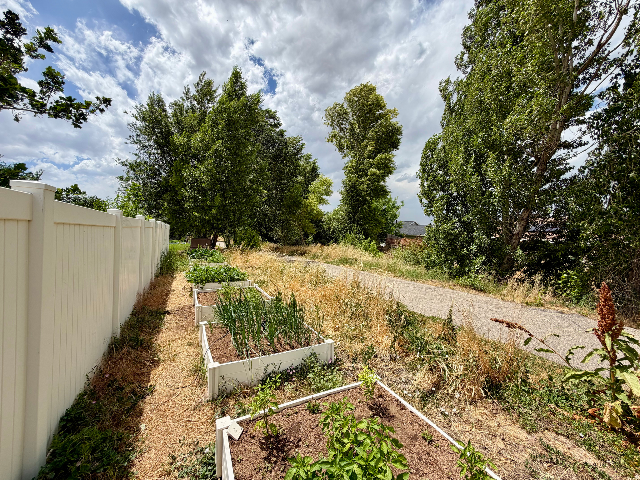 main property photo 82