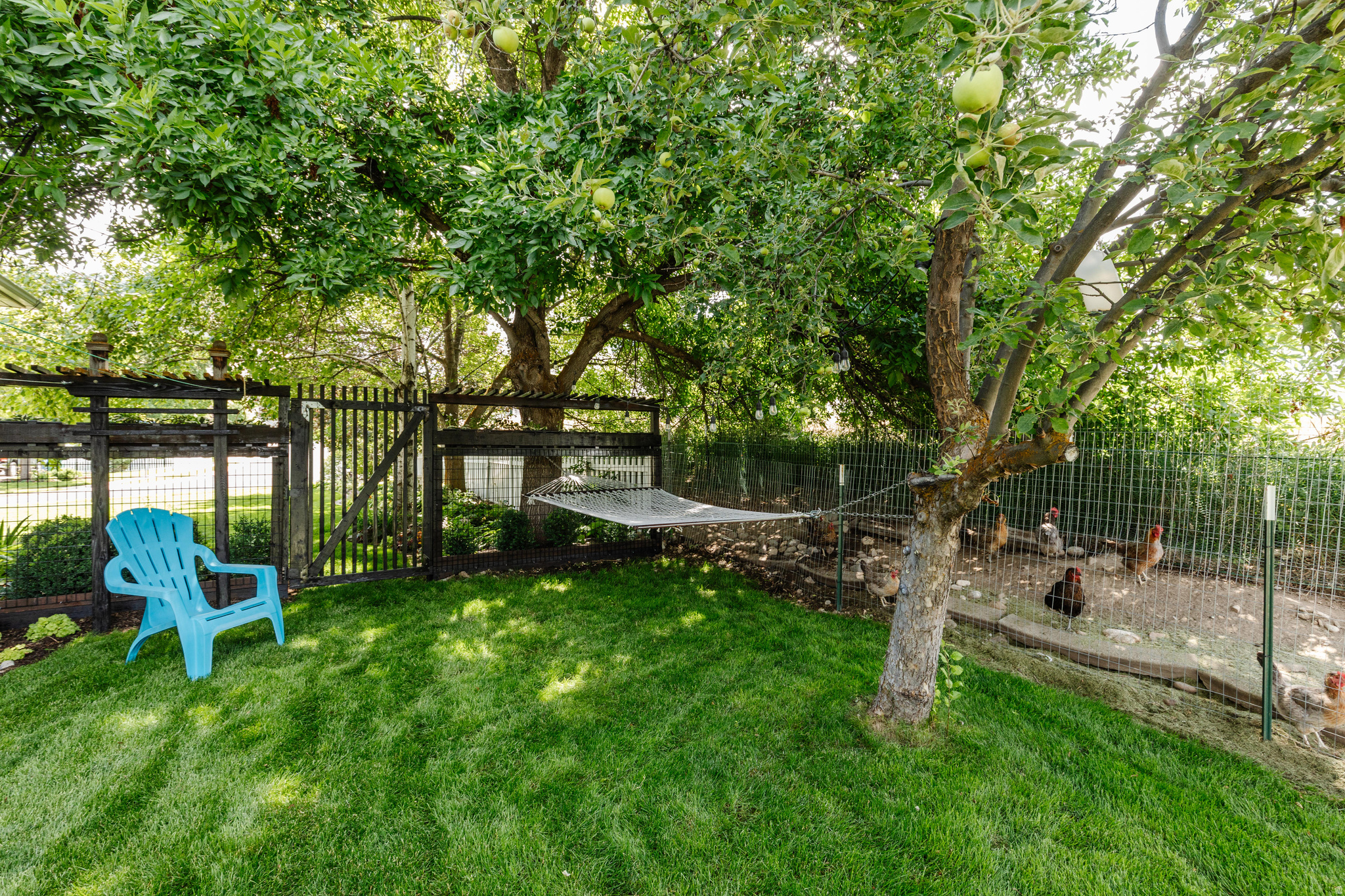 main property photo 50