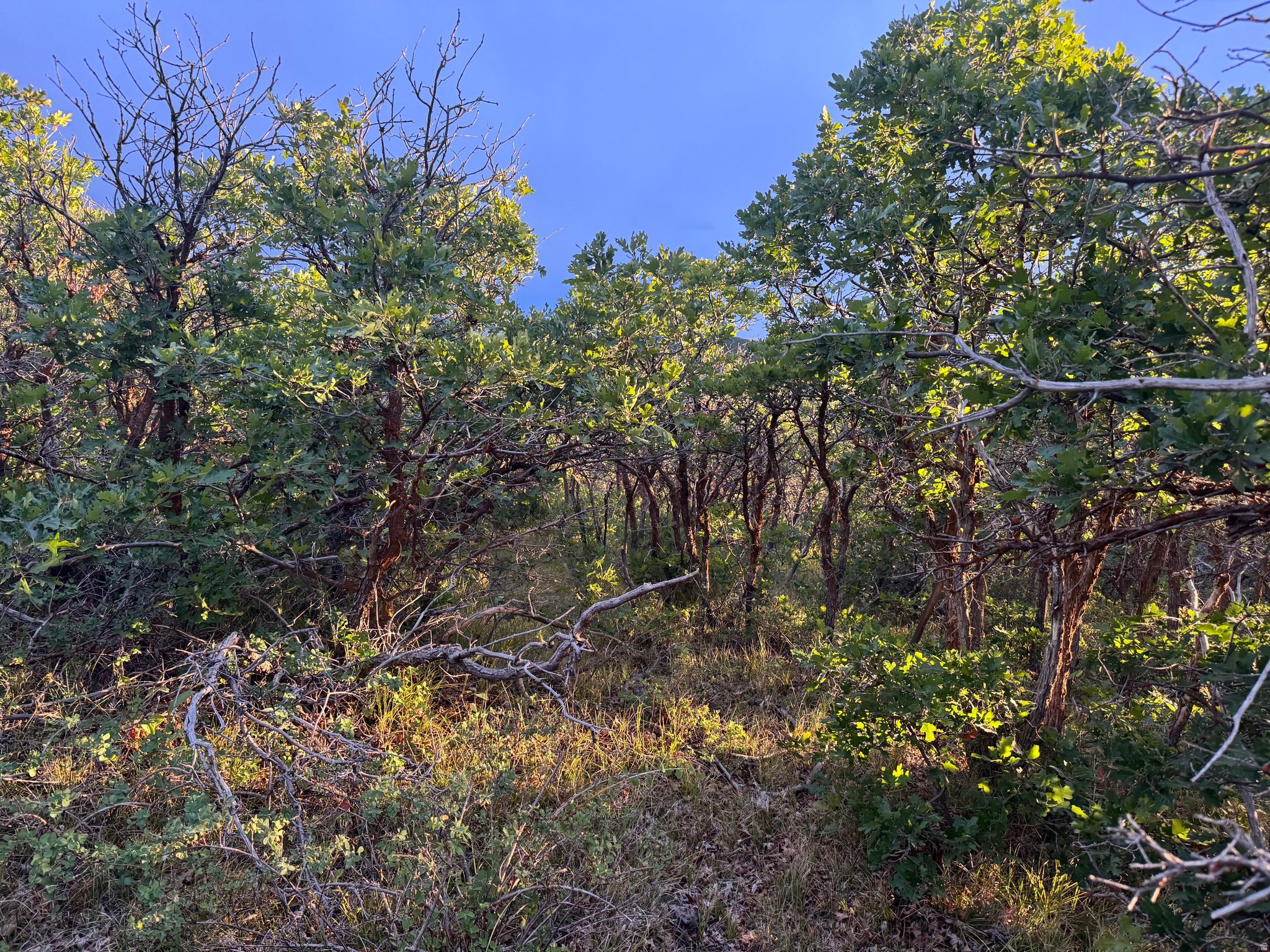 main property photo 13