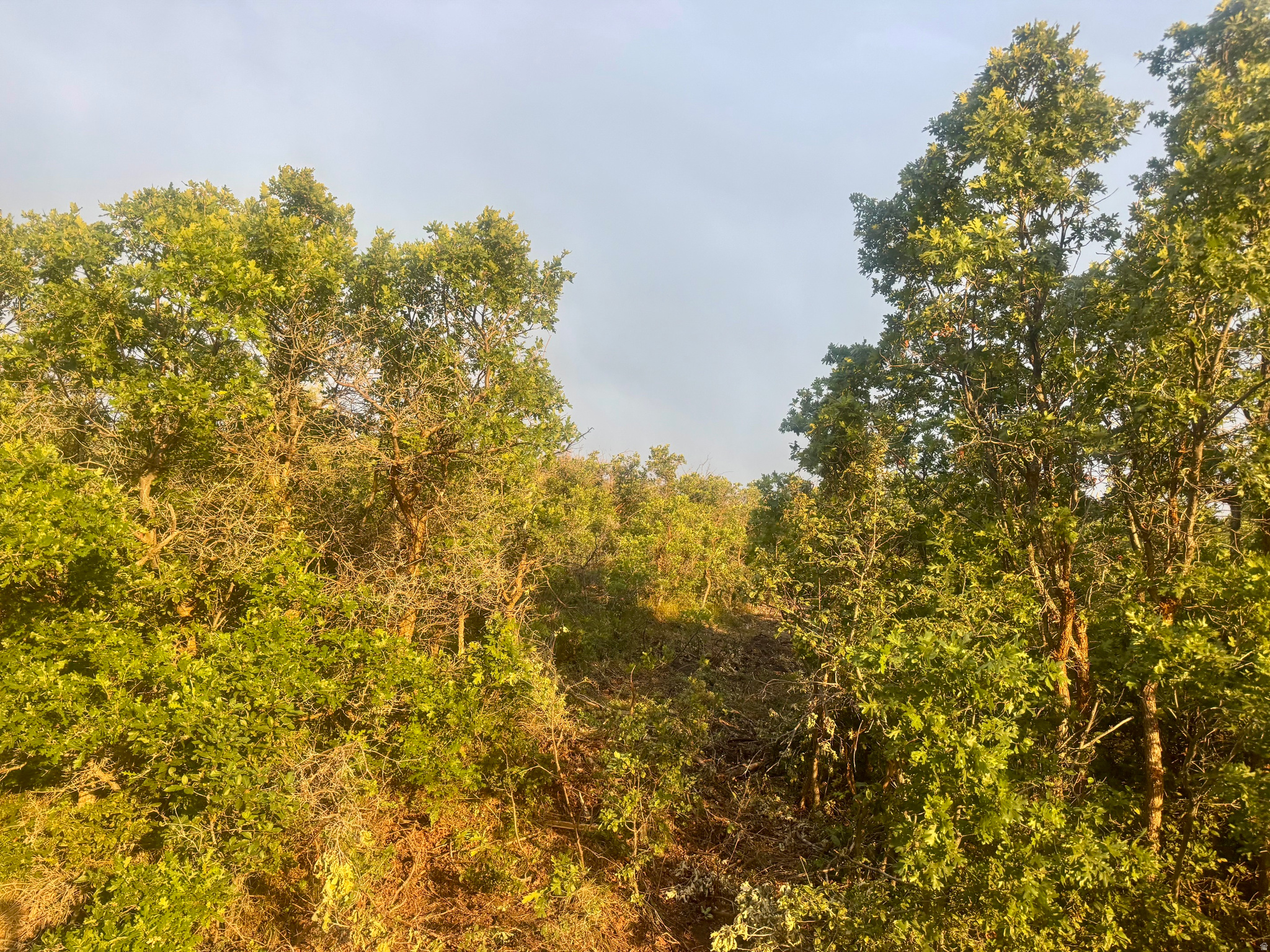 main property photo 9