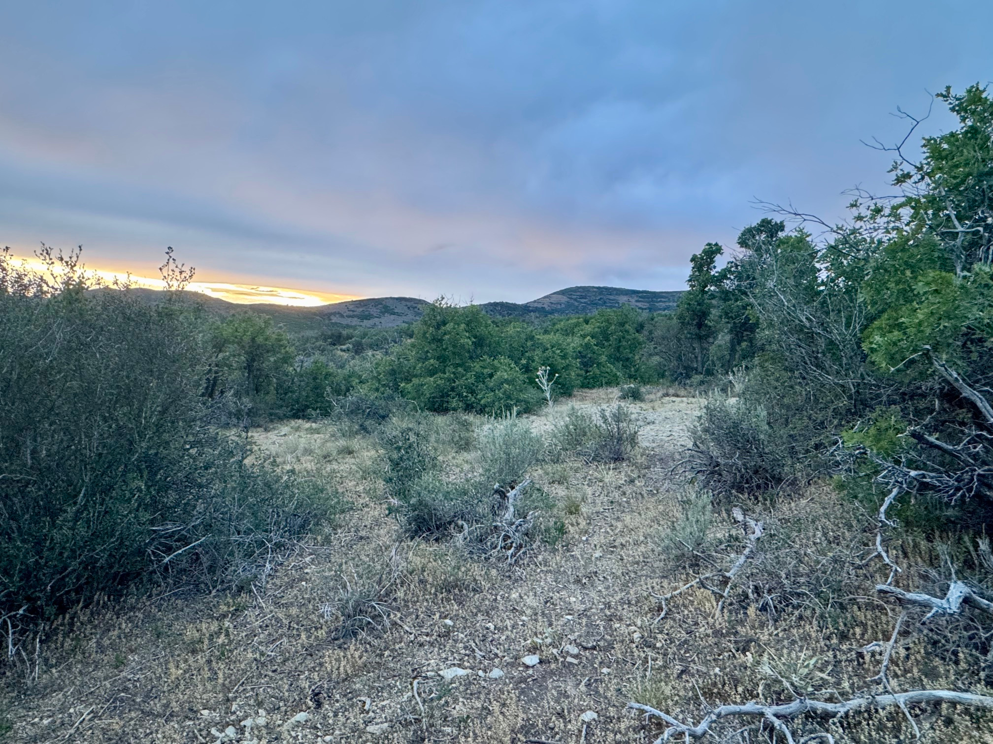 main property photo 14