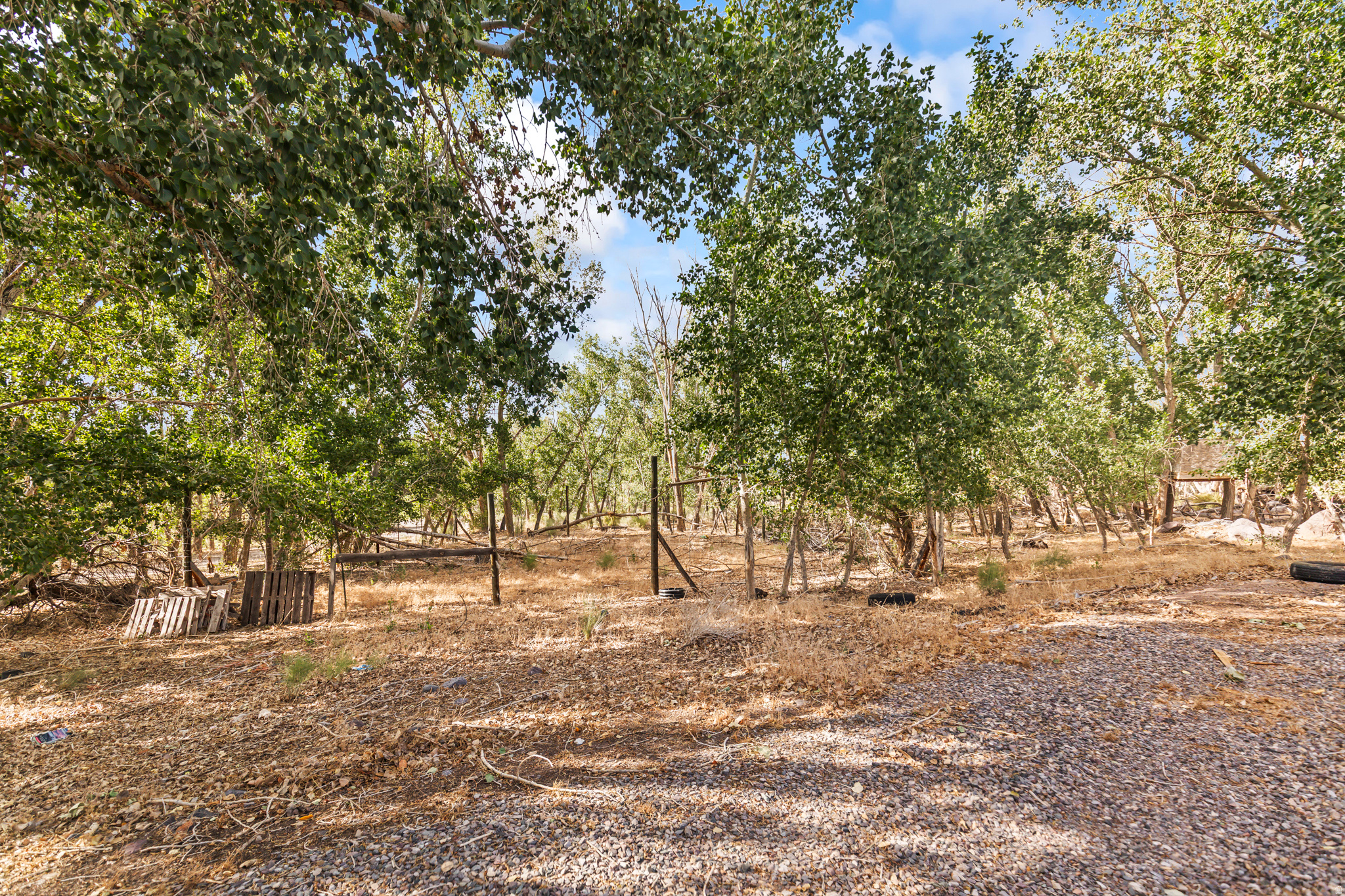 main property photo 77