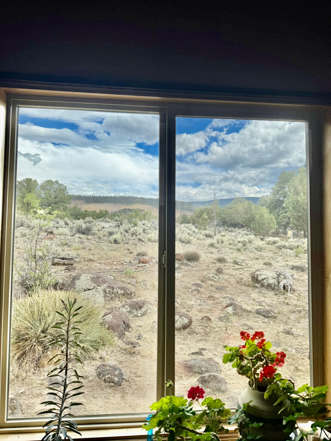main property photo 56