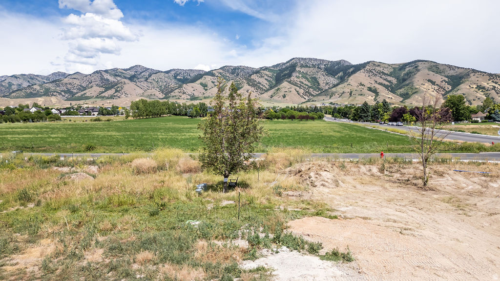 main property photo 15