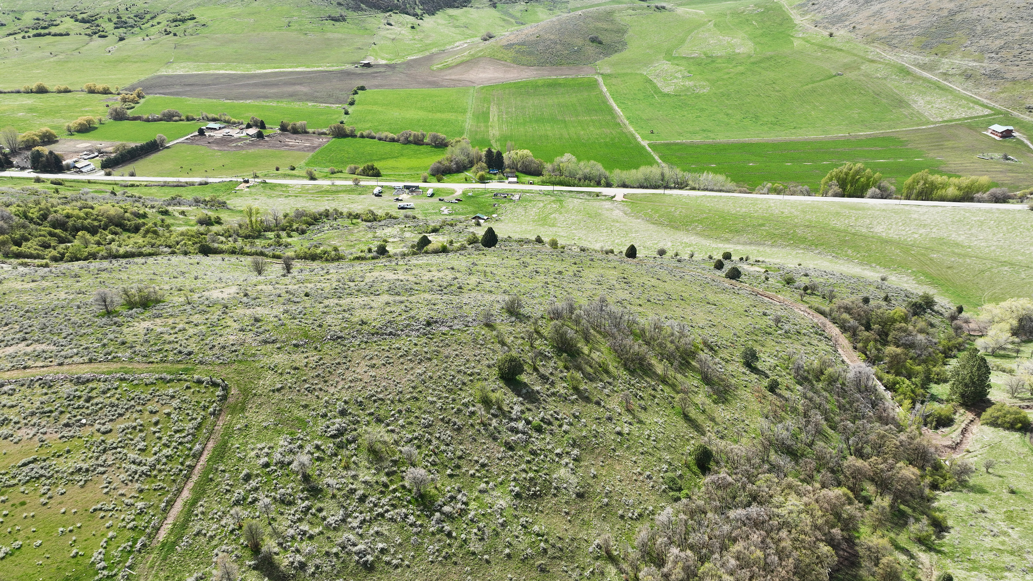 main property photo 14