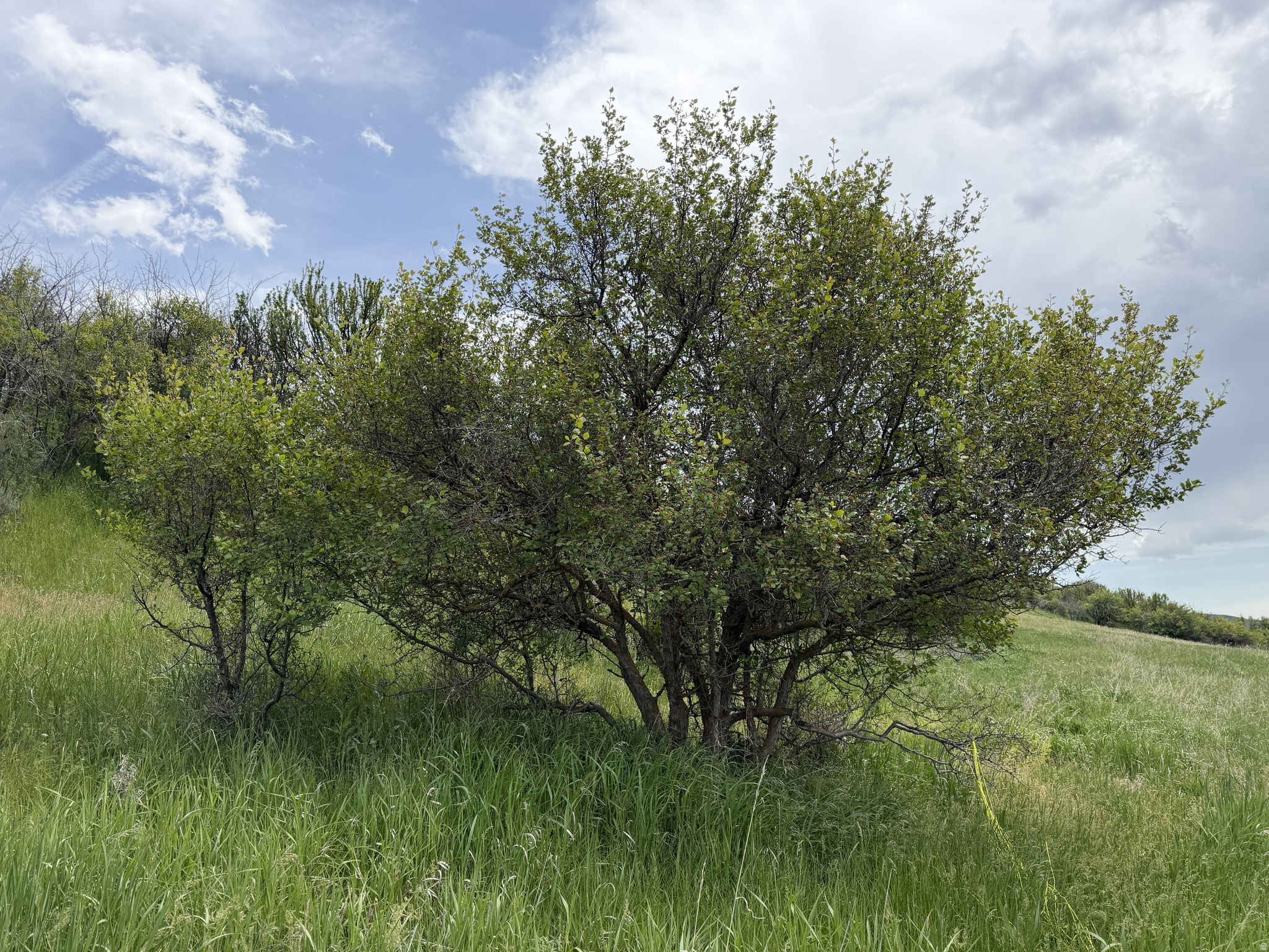 main property photo 20