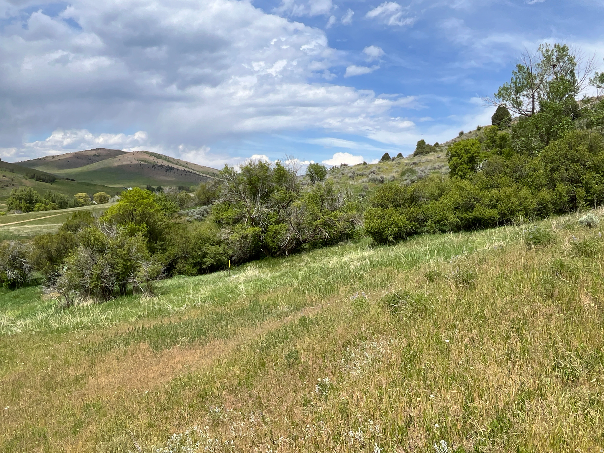 main property photo 6