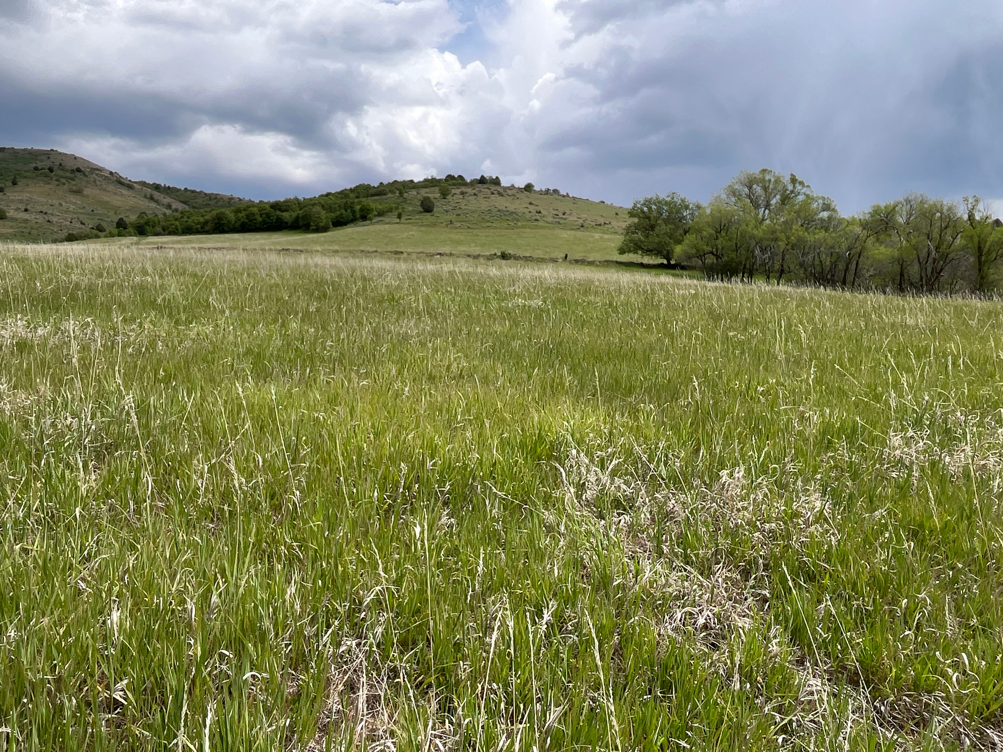 main property photo 11
