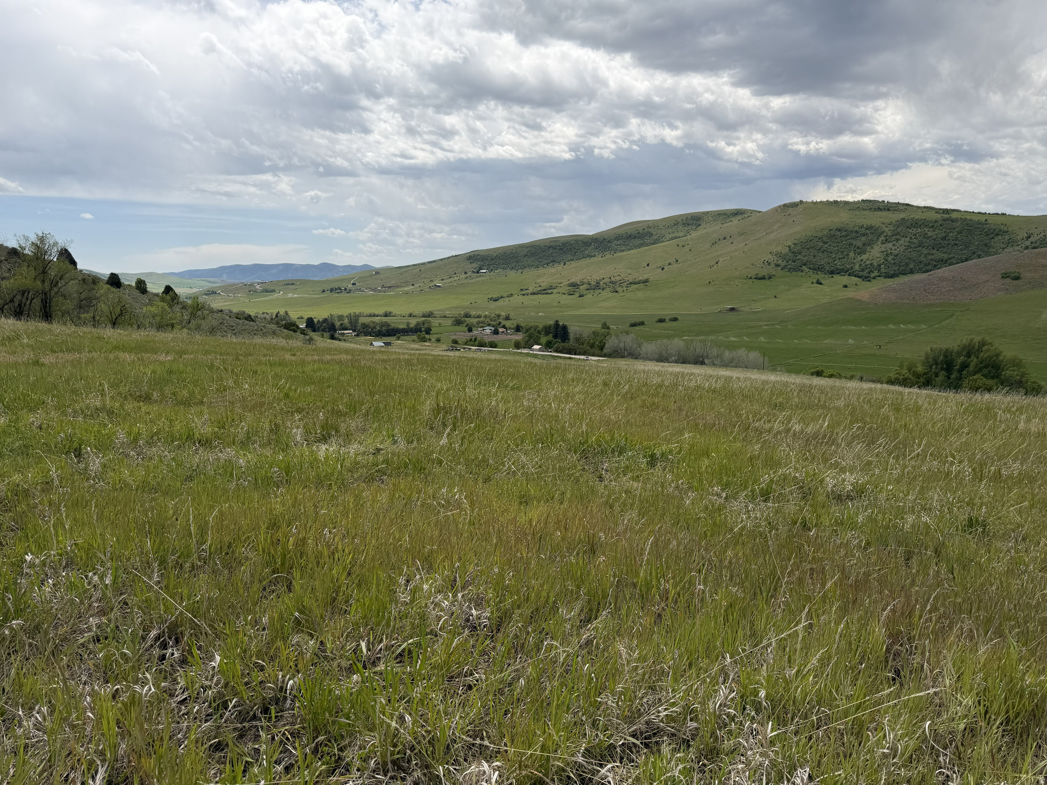 main property photo 13