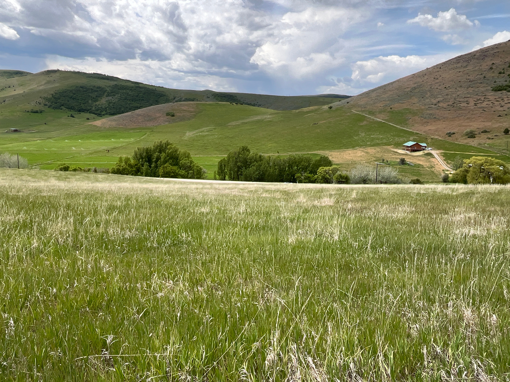 main property photo 15