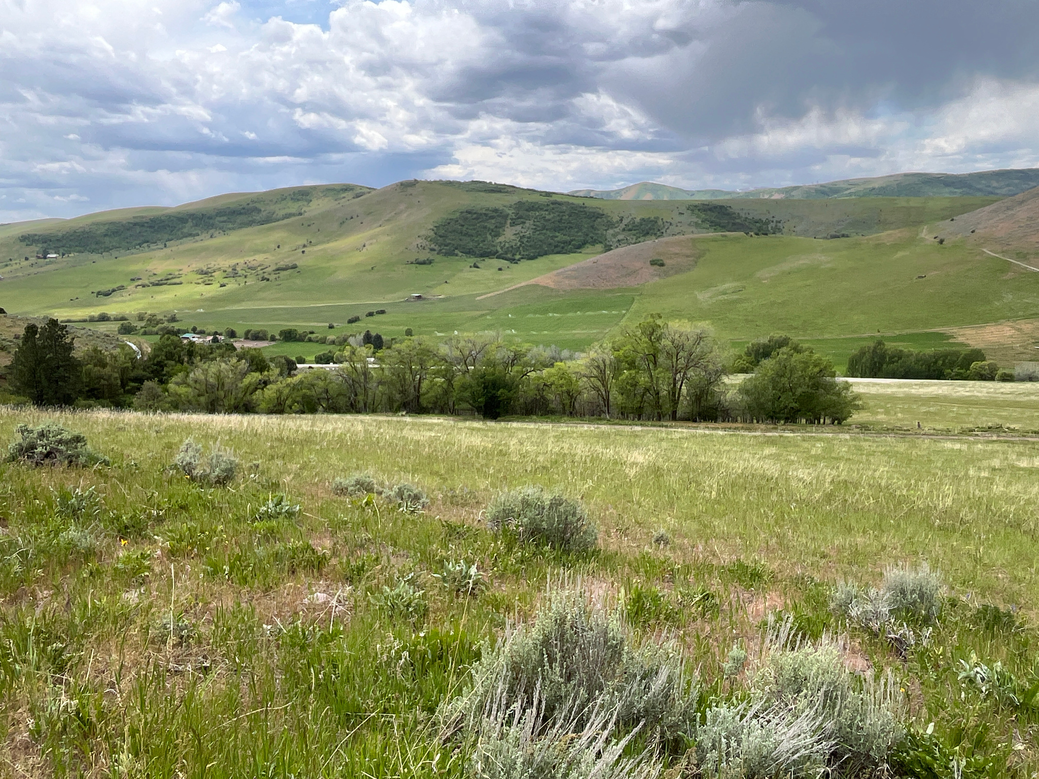 main property photo 16