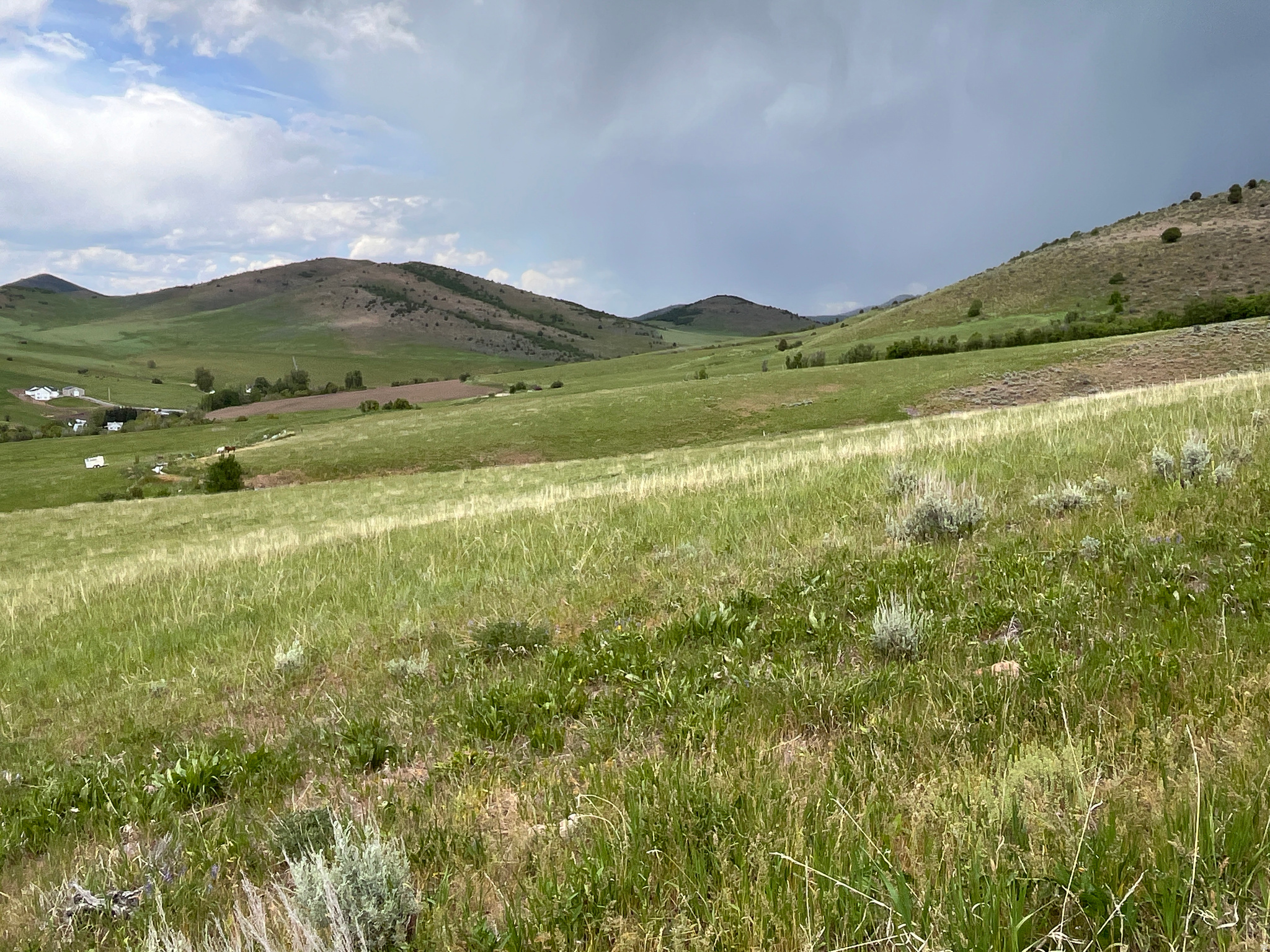 main property photo 18