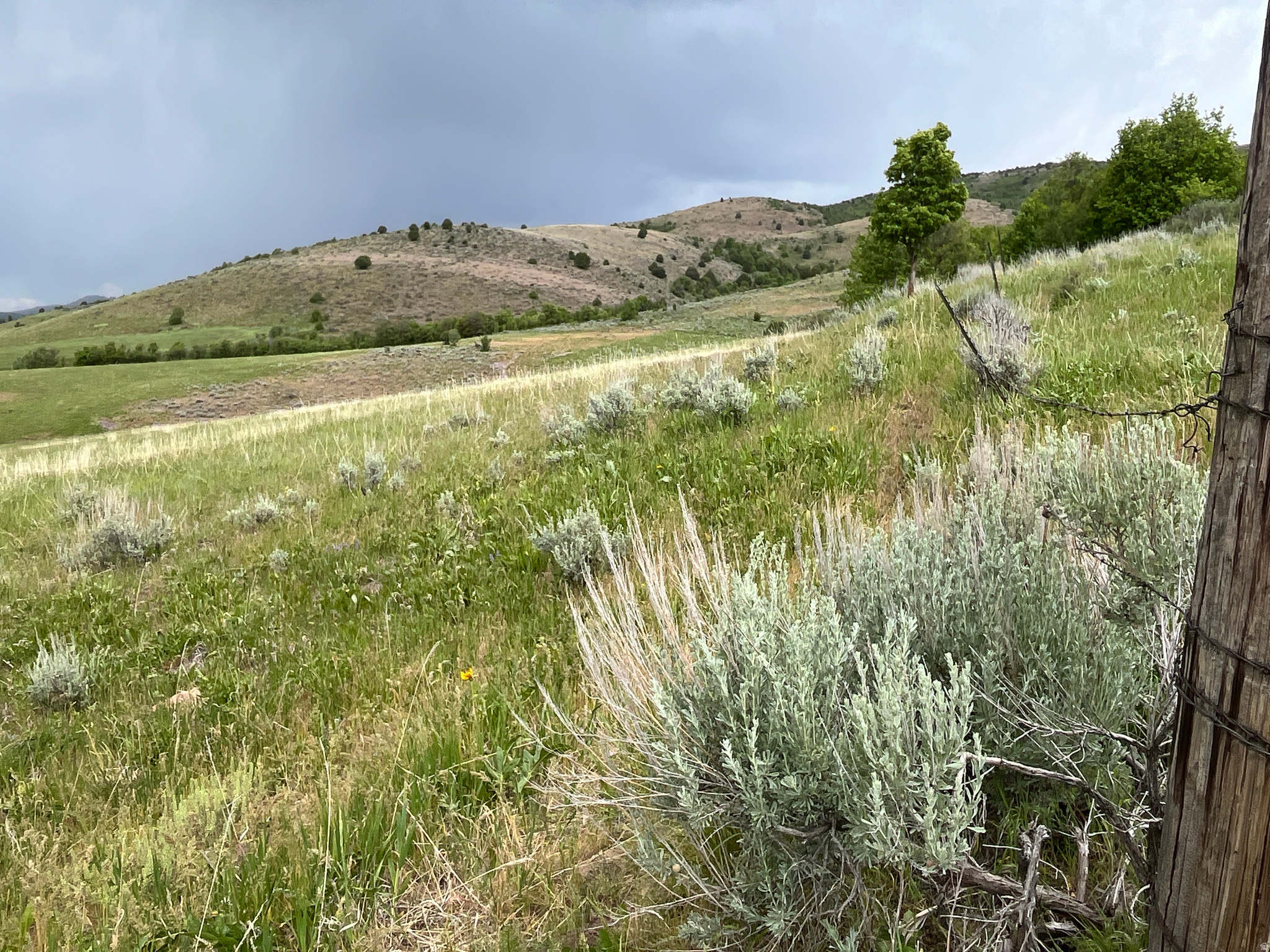 main property photo 19