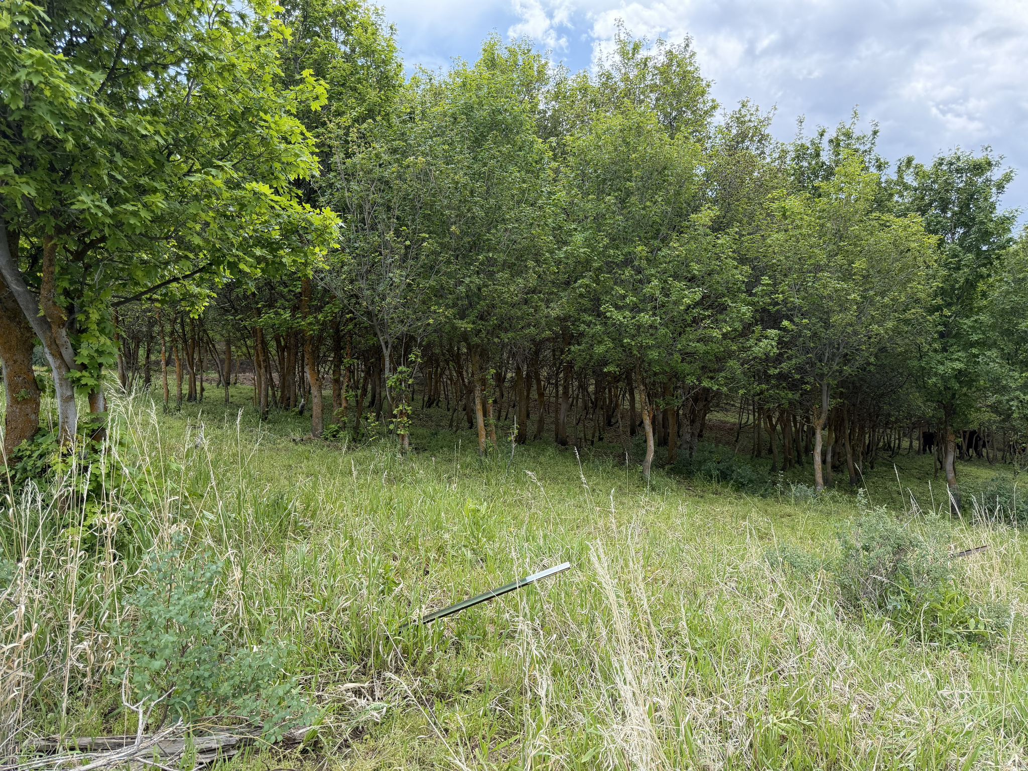 main property photo 24