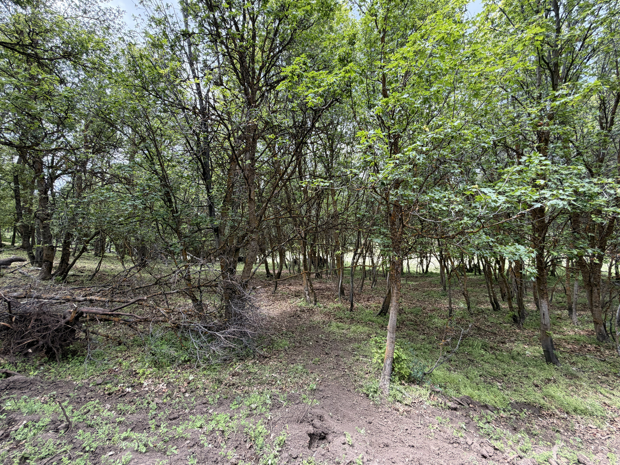 main property photo 26