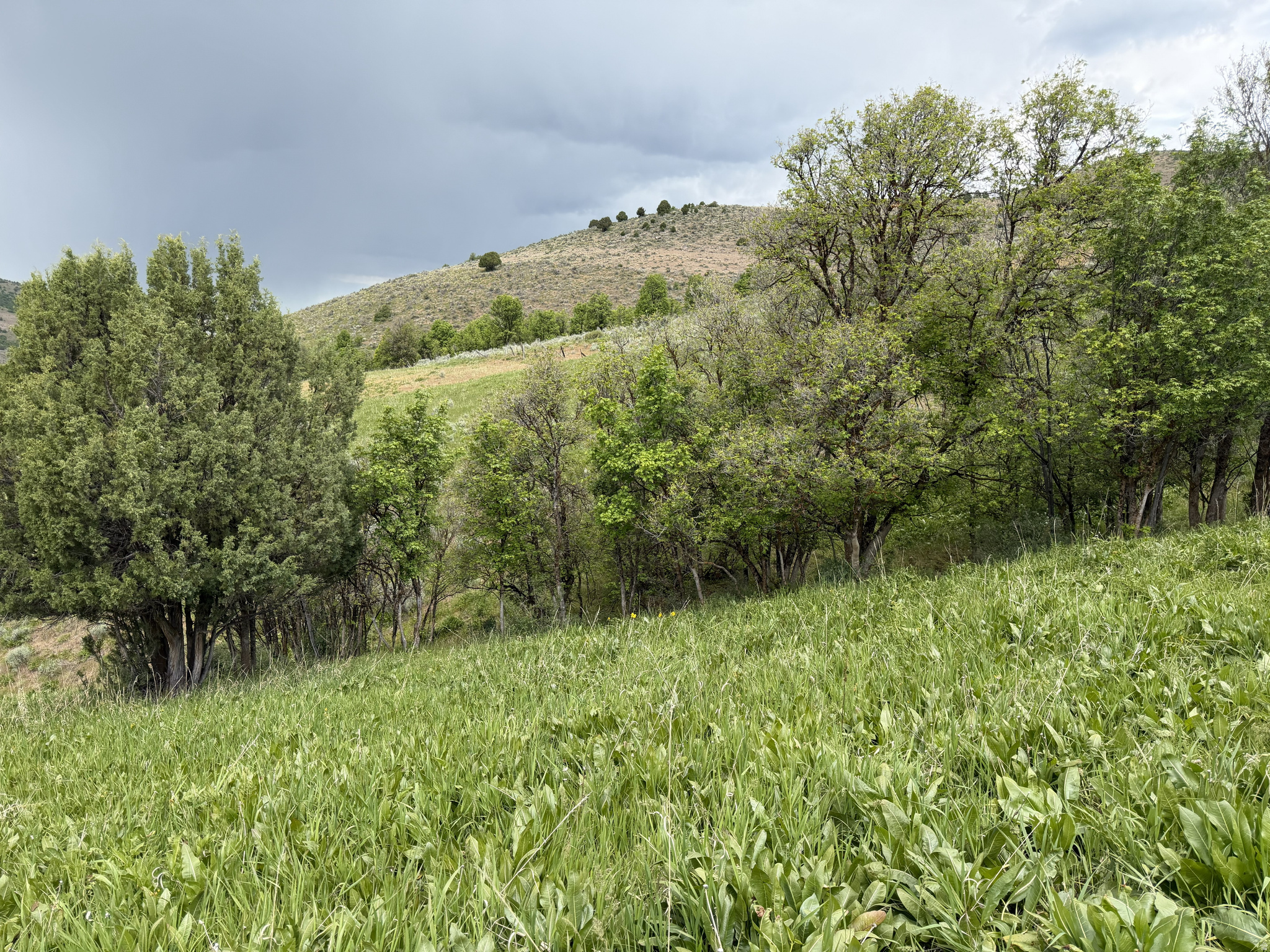 main property photo 28