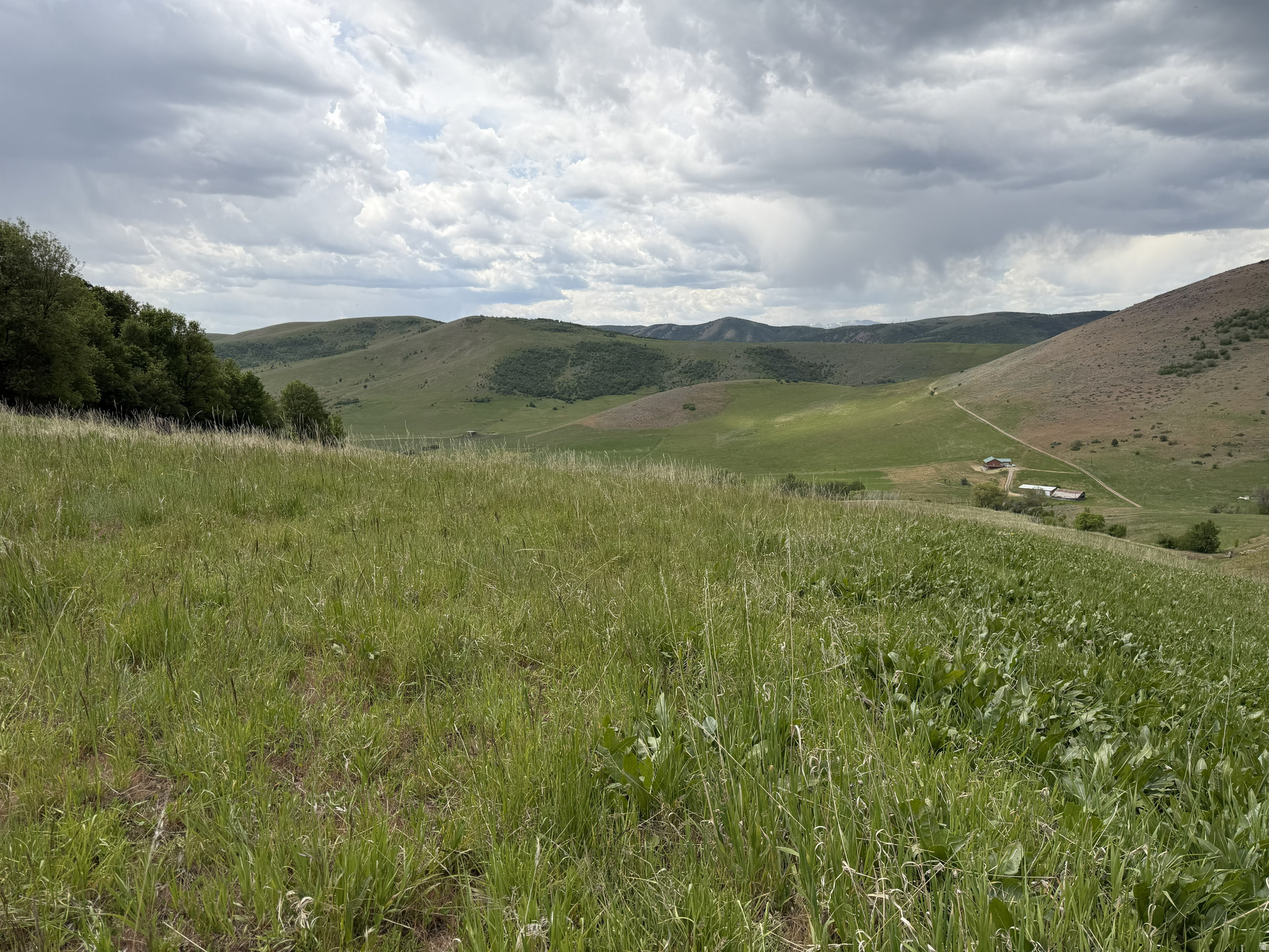 main property photo 31