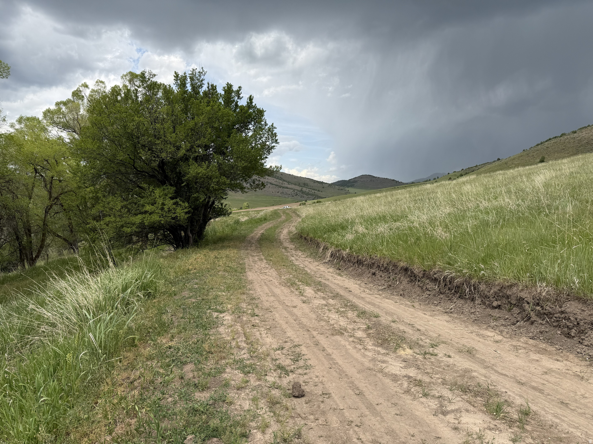 main property photo 37