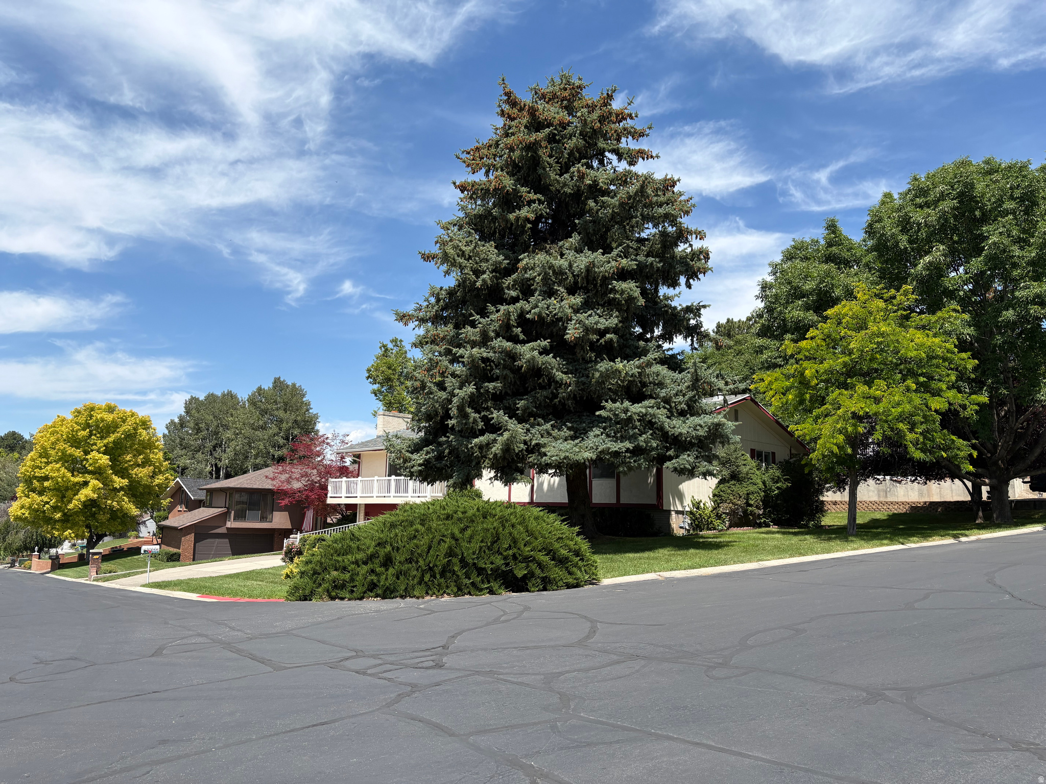main property photo 82
