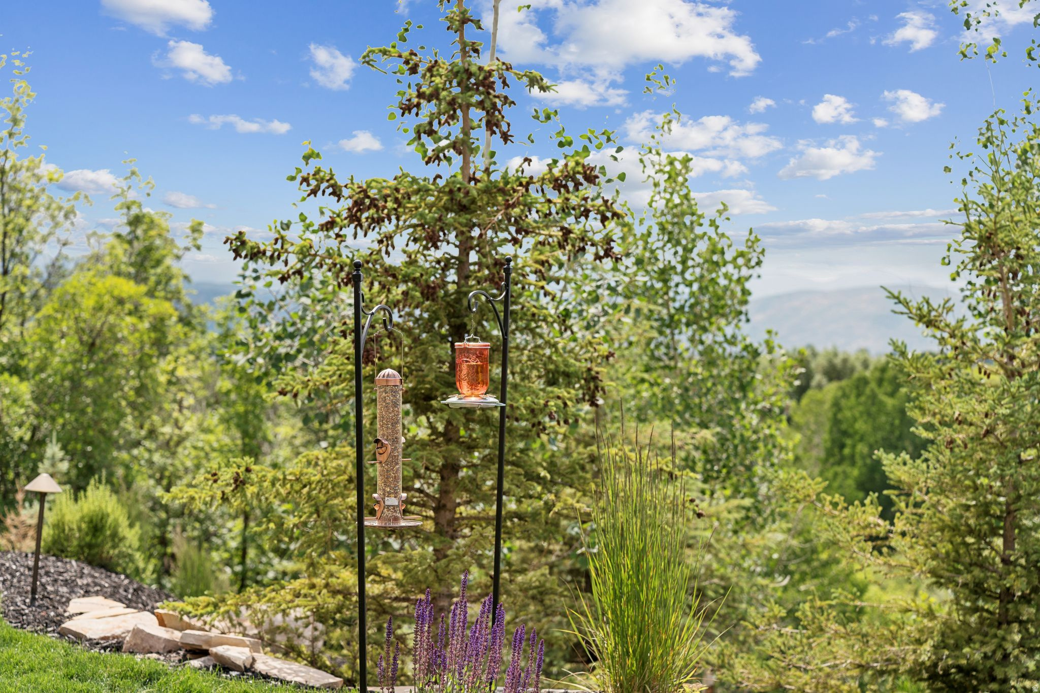 main property photo 51