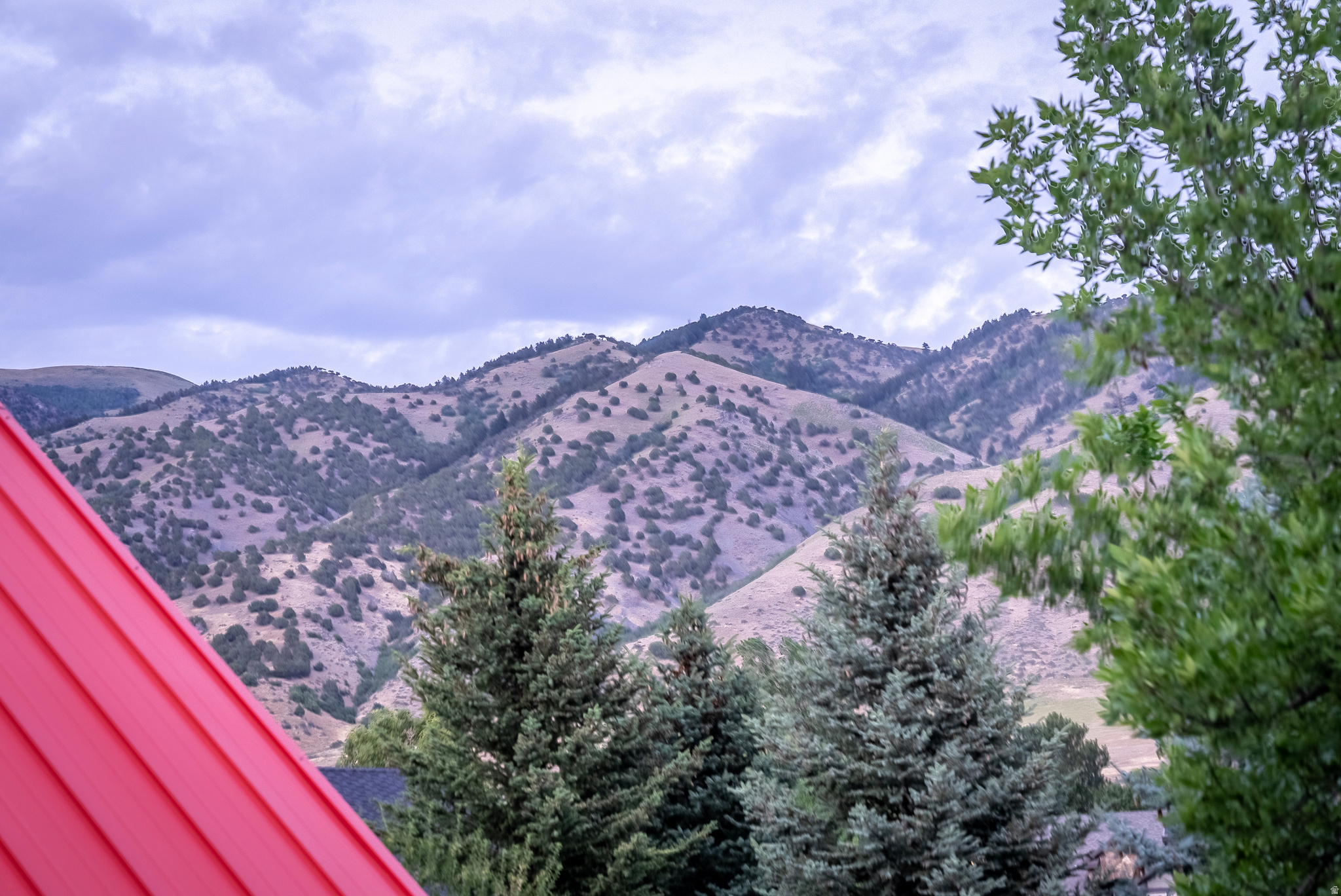 main property photo 78