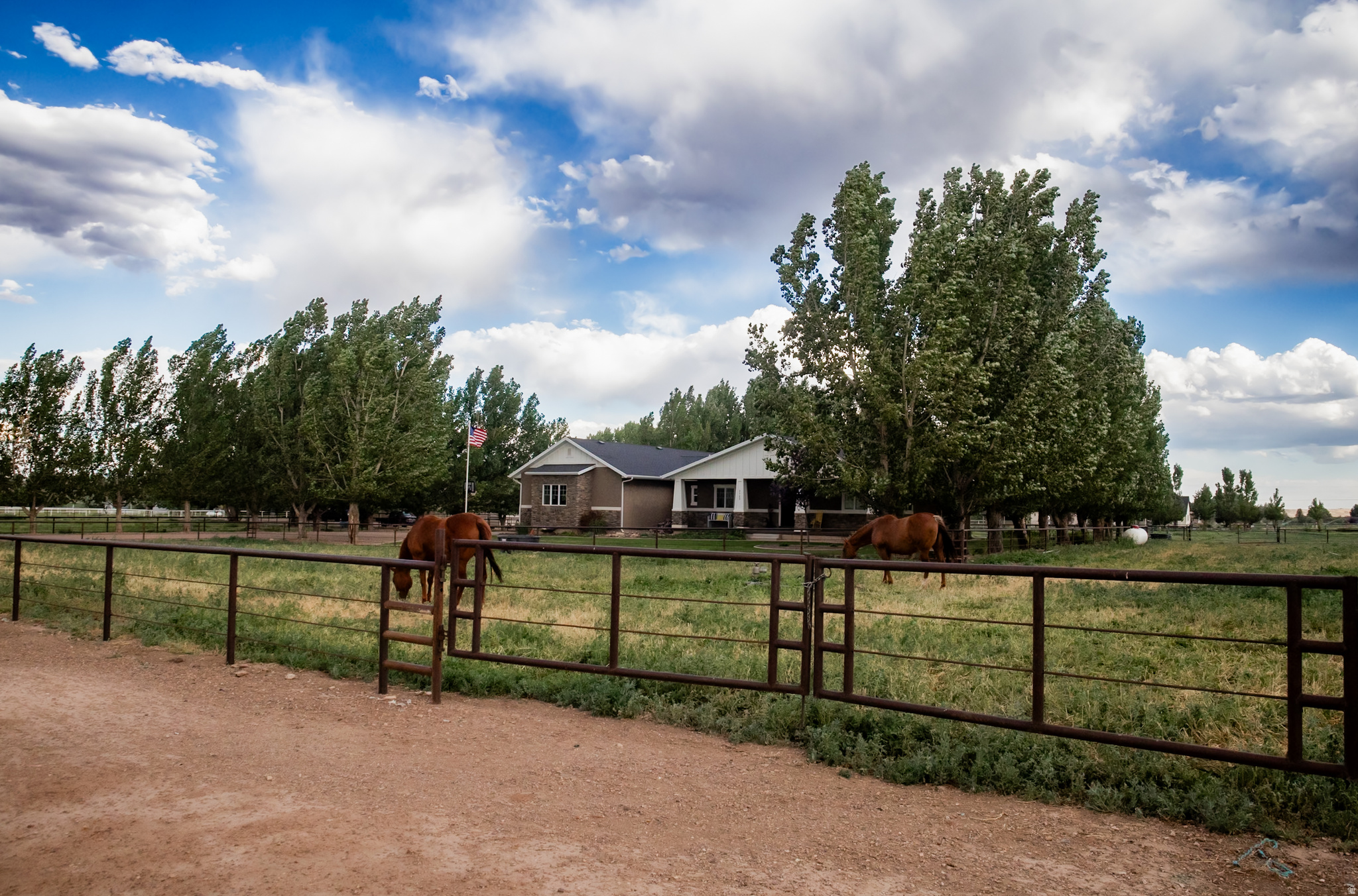 main property photo 4