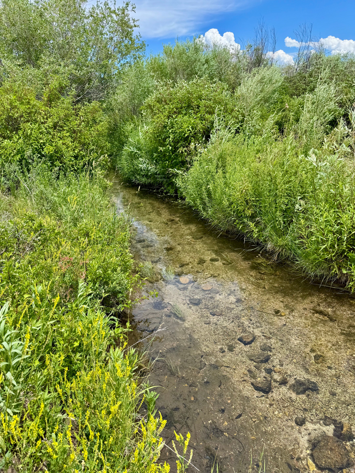 main property photo 18