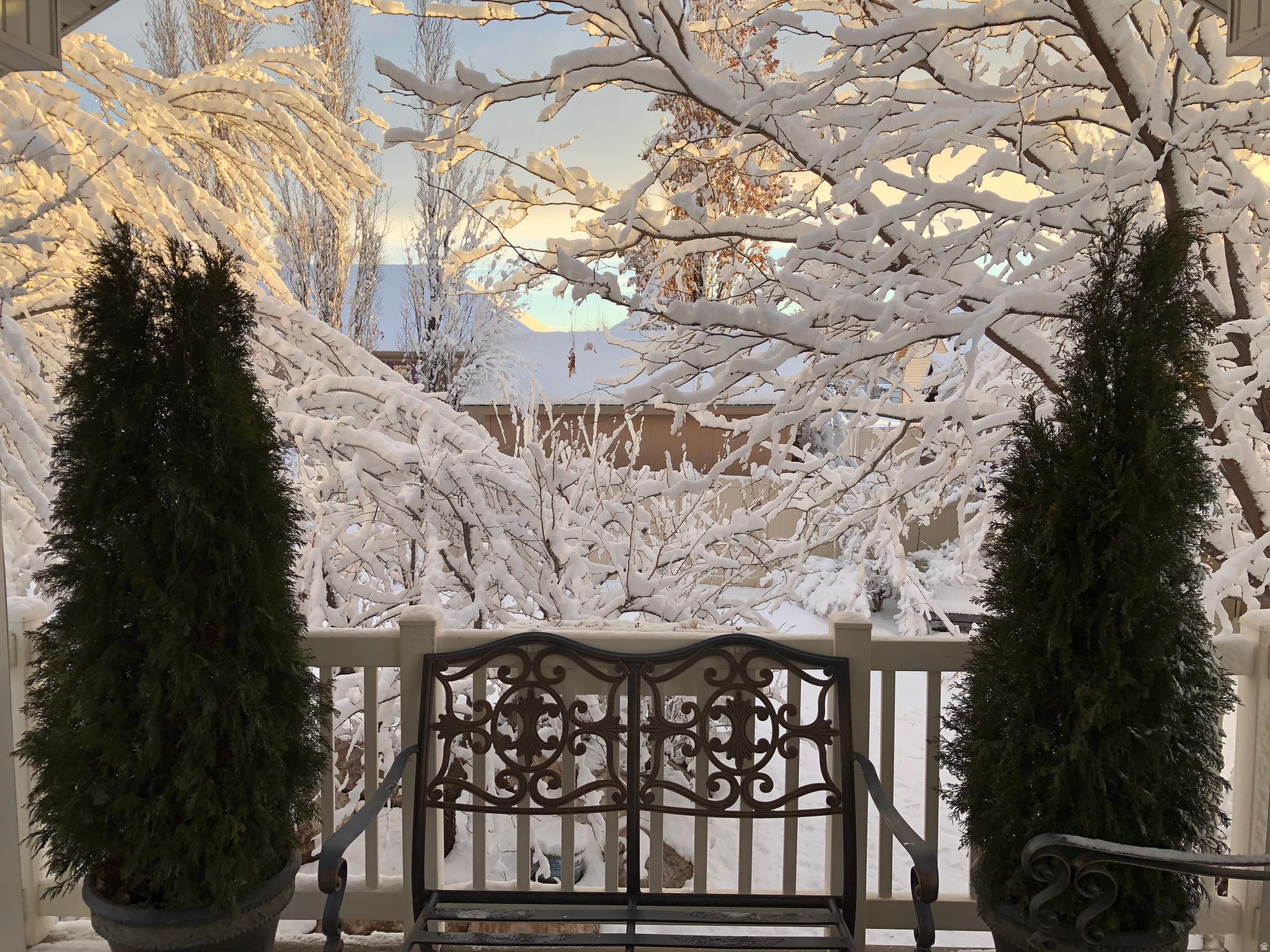 main property photo 46