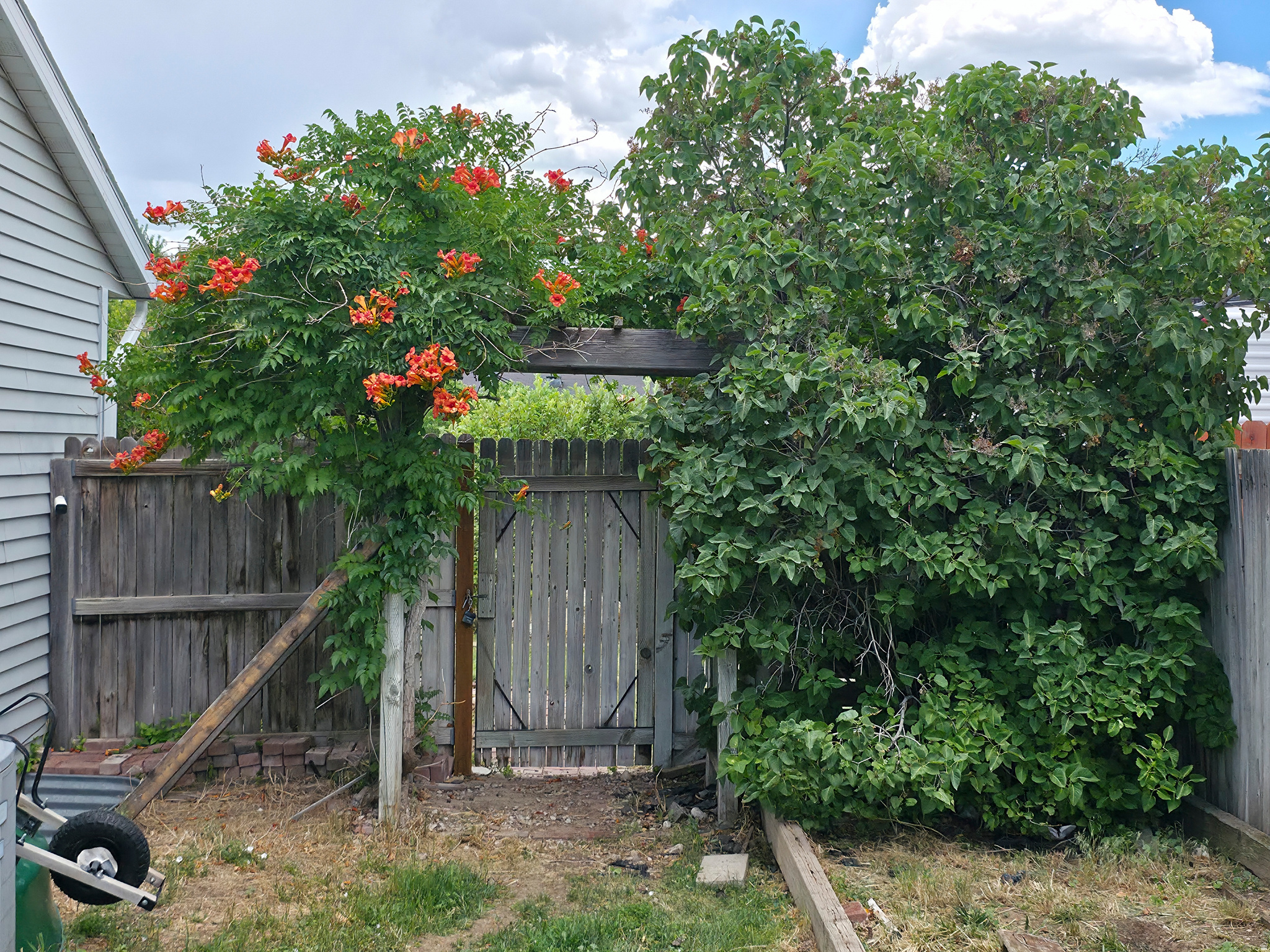 main property photo 92