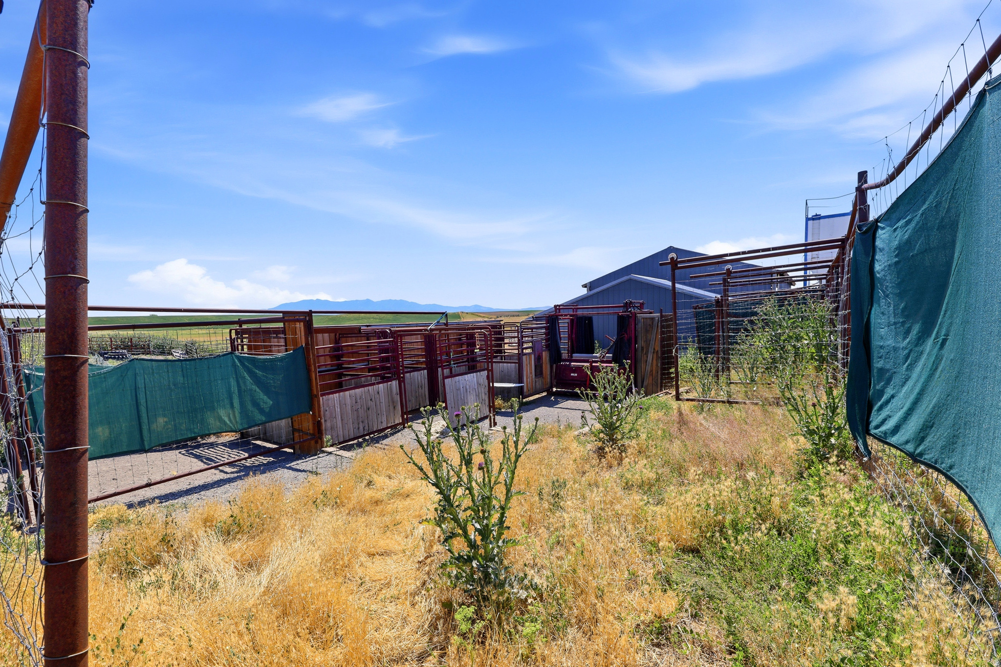 main property photo 63