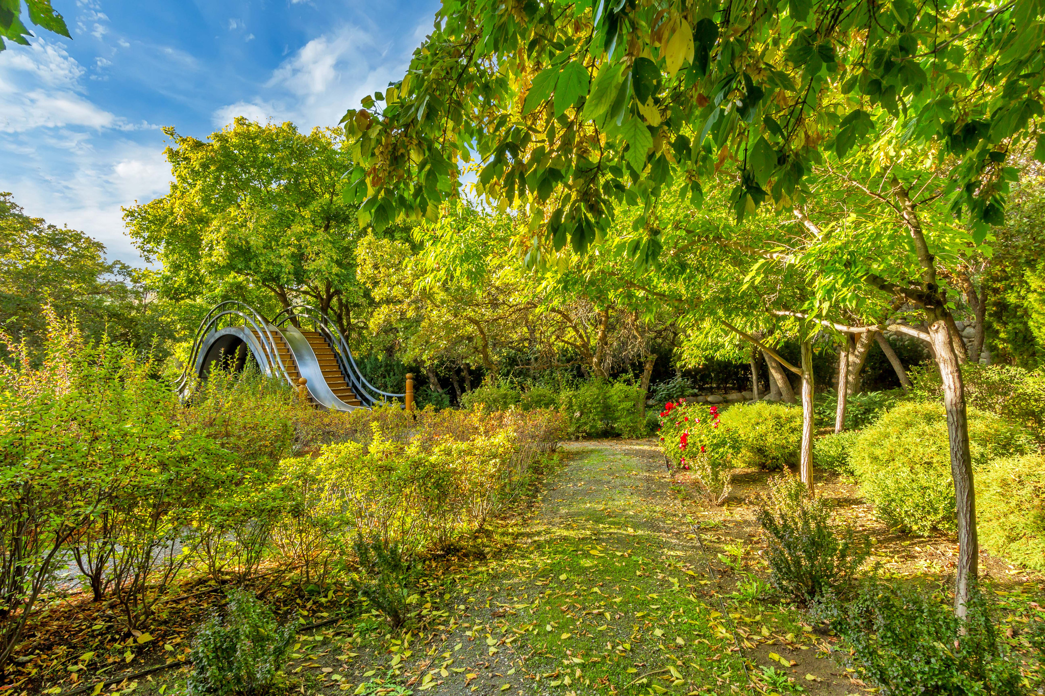 main property photo 54