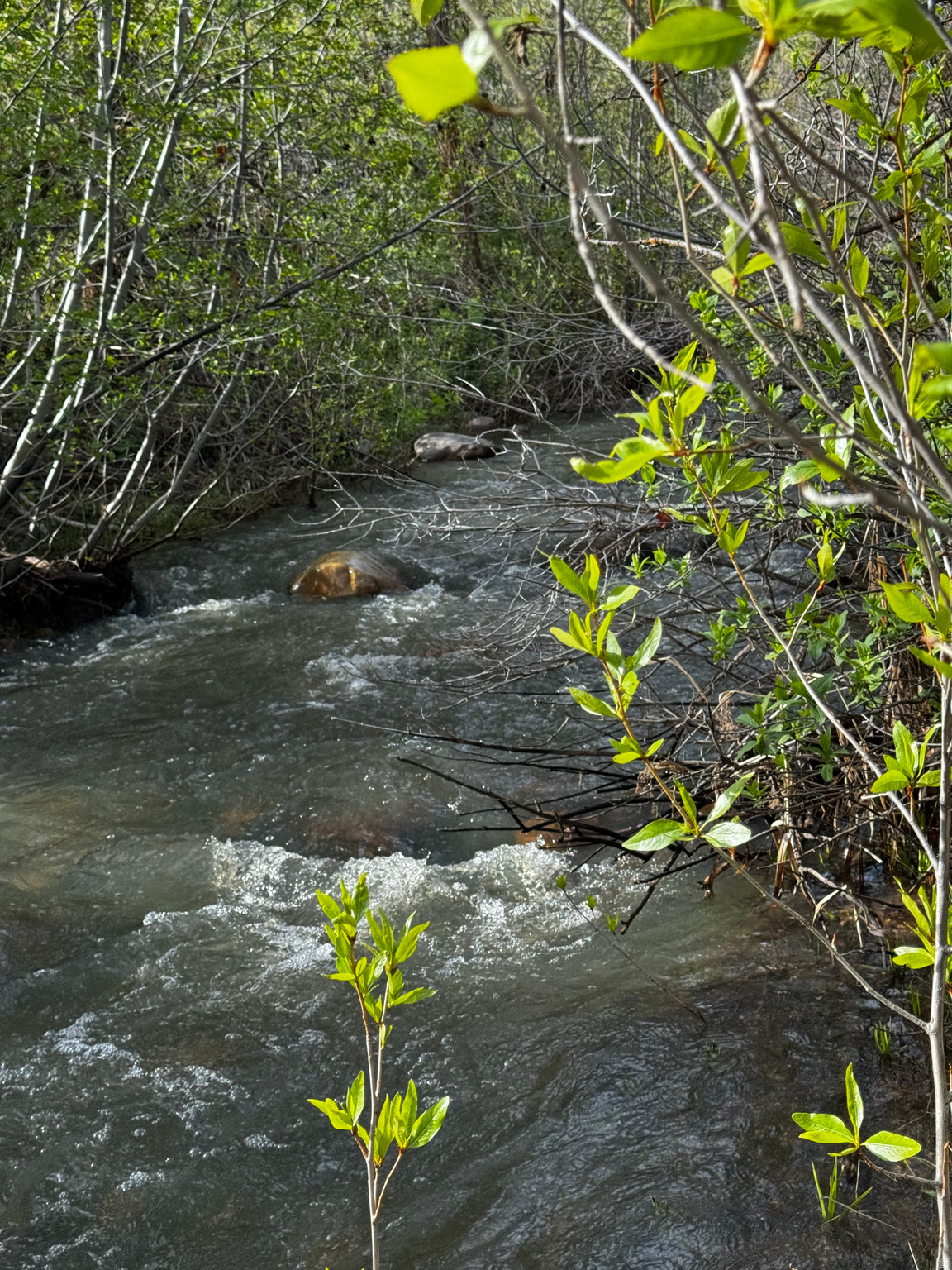 main property photo 92