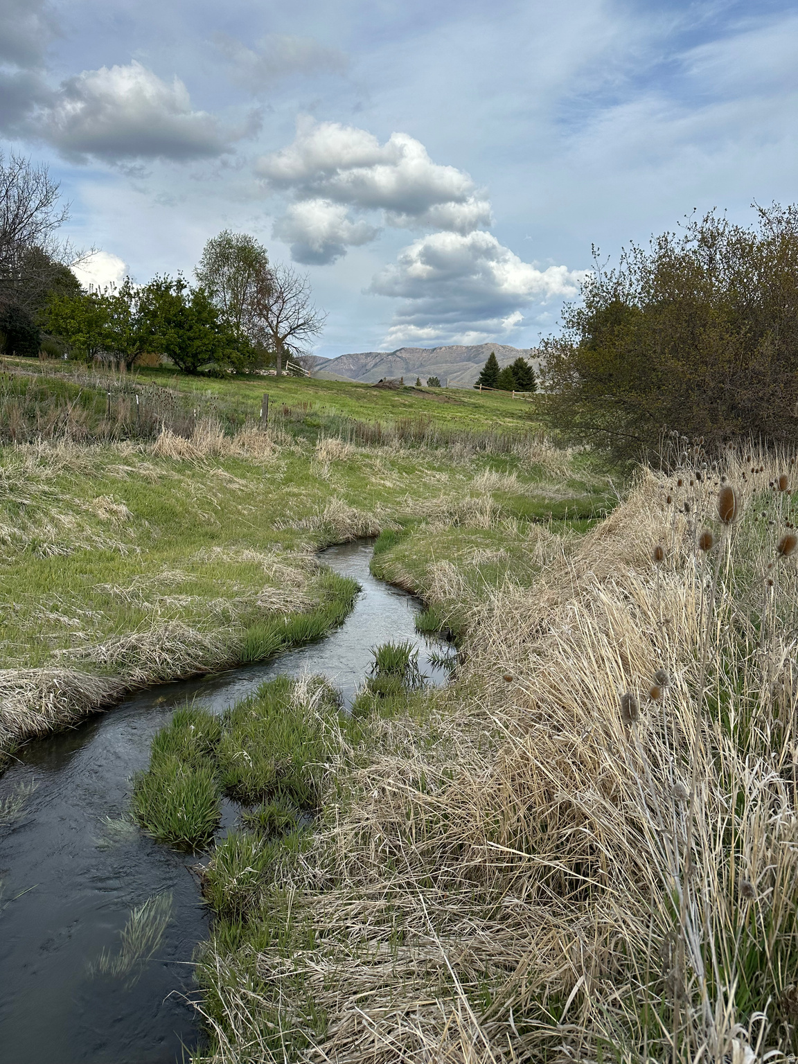 main property photo 11