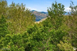 main property photo 76