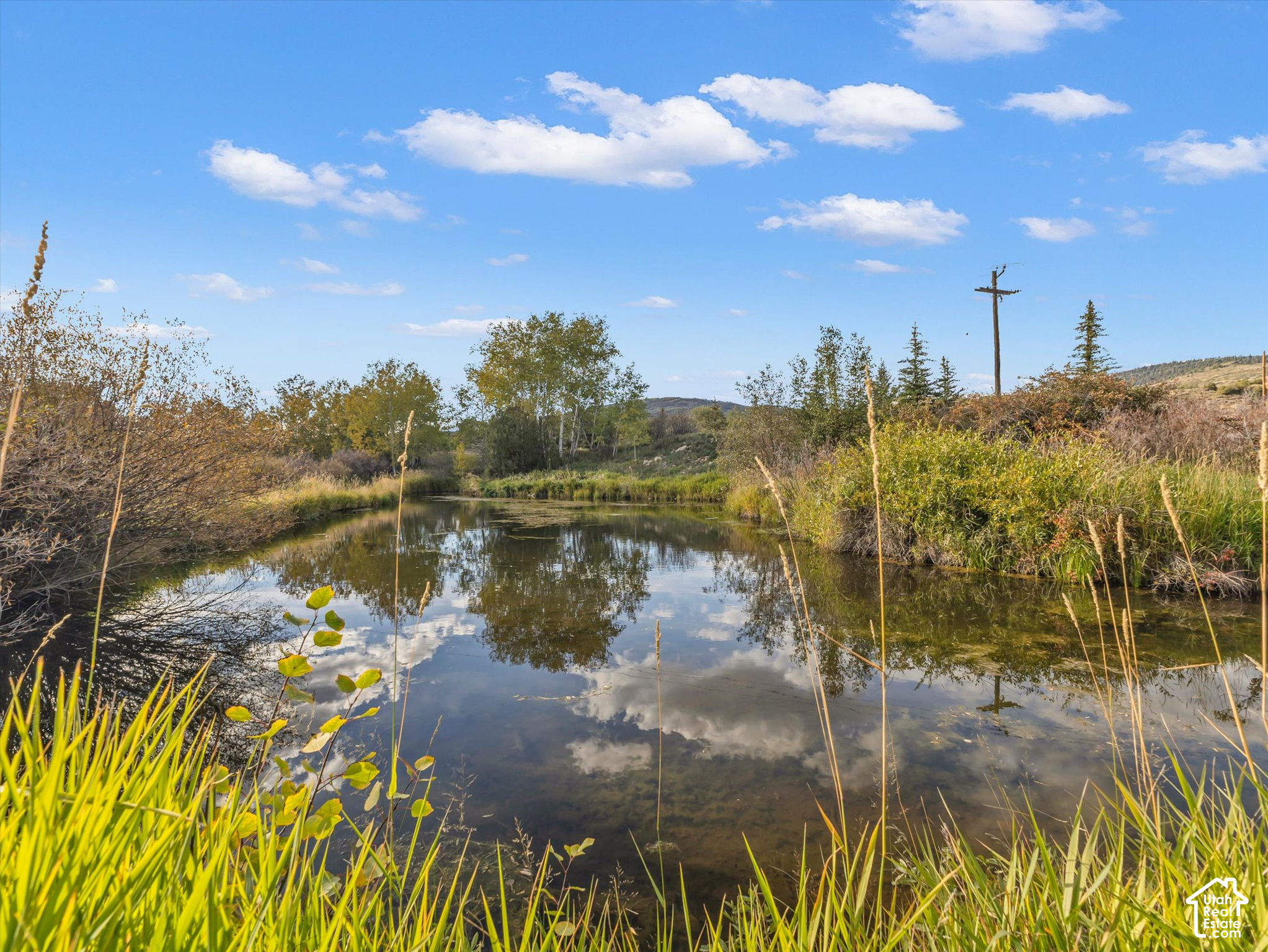 main property photo 26