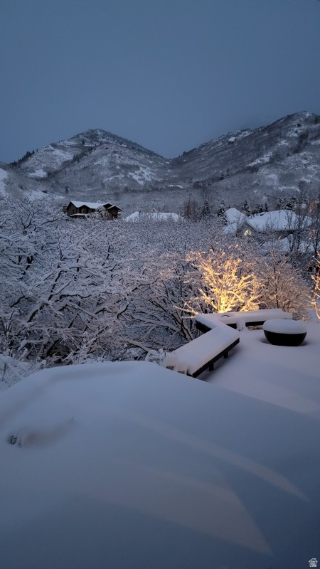 main property photo 84
